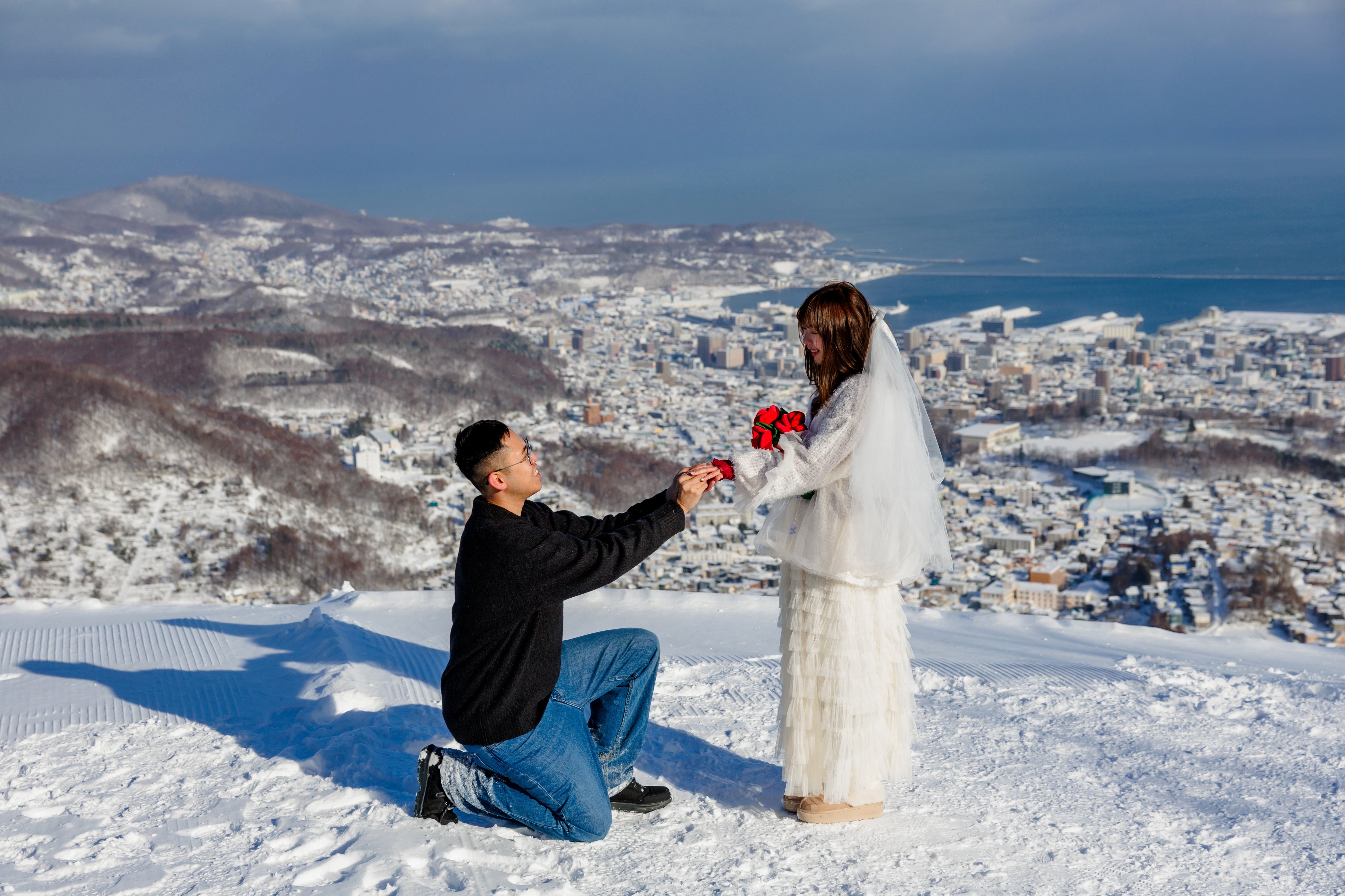 Proposal in Japan