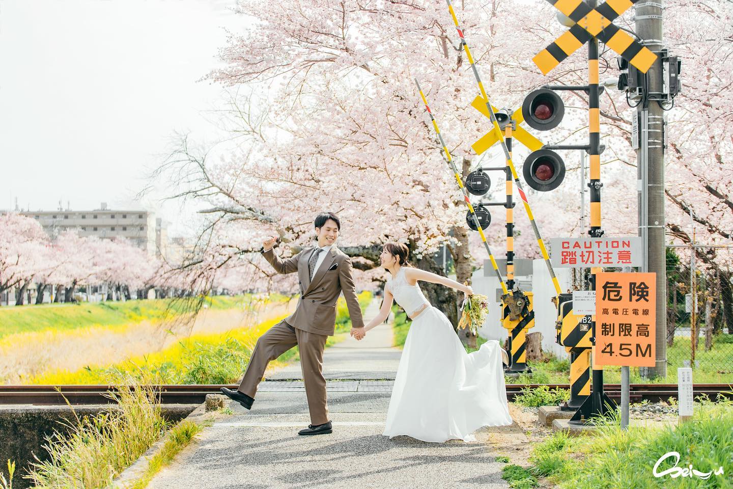 🌸🌼 告別賞櫻人擠人!三重縣佐奈川堤,櫻花 x 油菜花 雙重花海暴擊你的心!