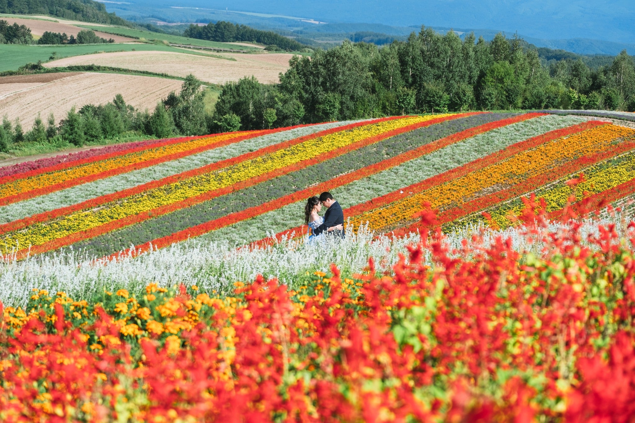 💖 北海道的愛與光影 - 攝影師Takenaka 💖