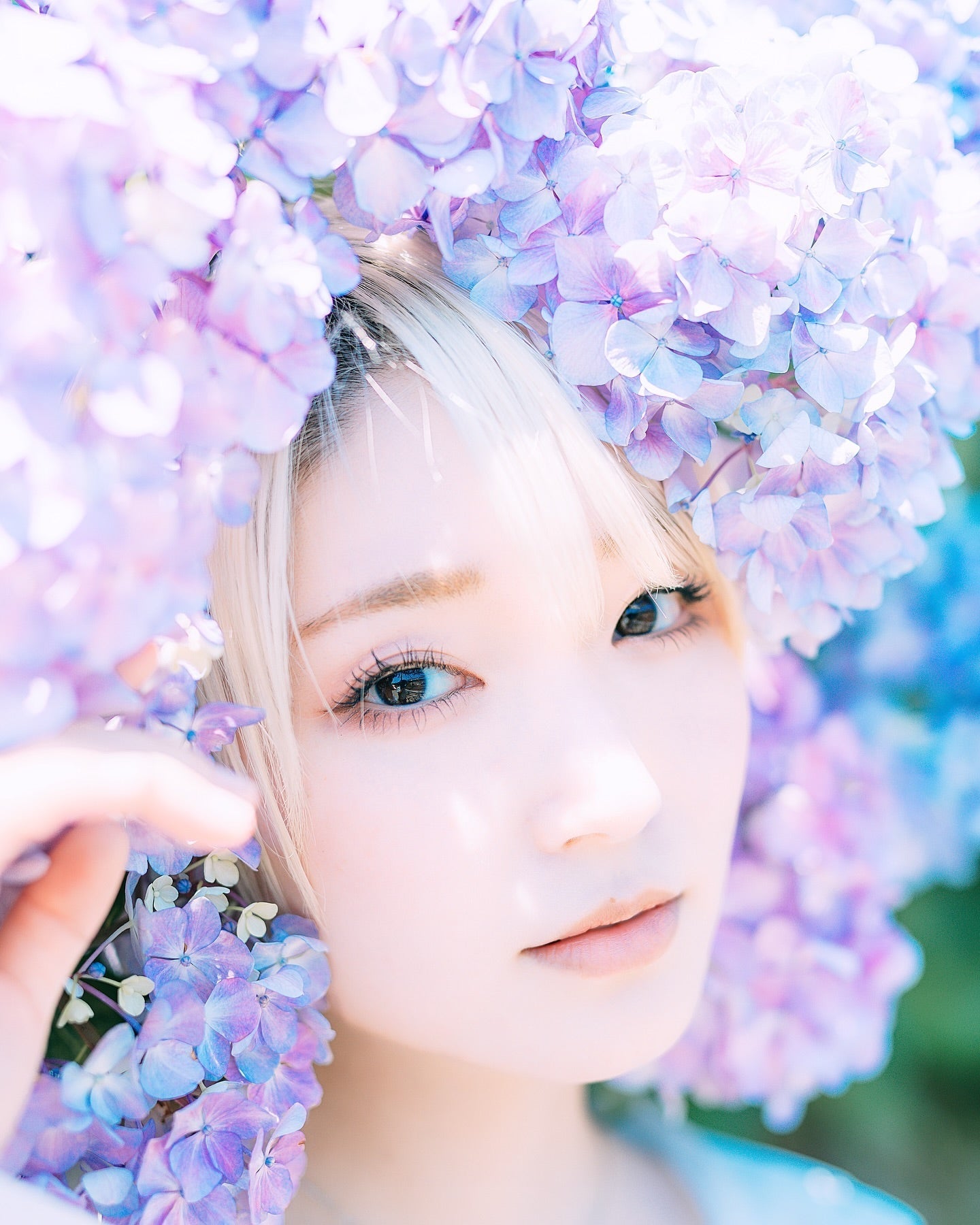 關西繡球花賞花全攻略!19處夢幻秘境,浪漫滿點