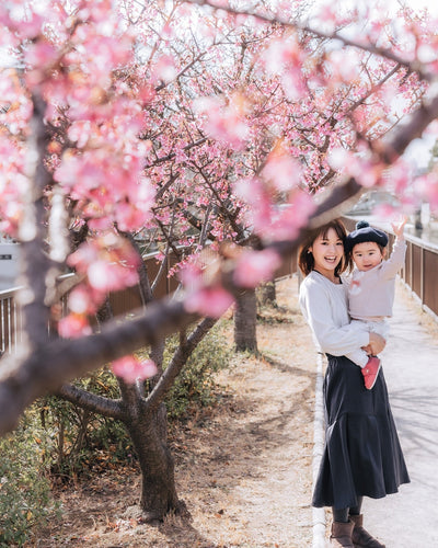解鎖櫻花品種!揭開染井吉野櫻的夢幻秘密,原來賞櫻還可以這樣玩!