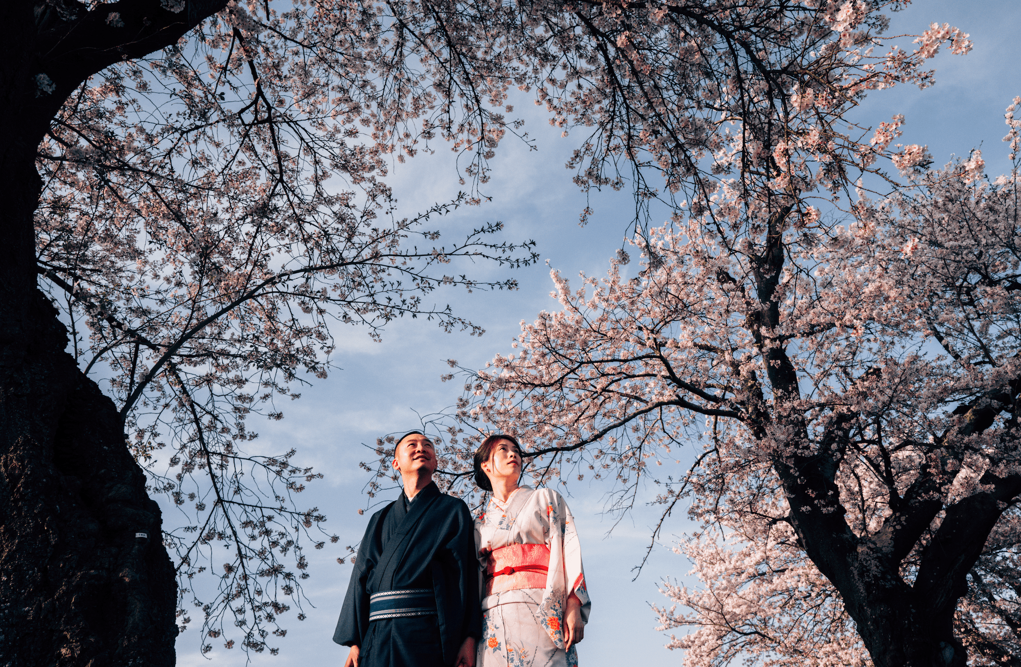 🌸📸 捕捉仙台櫻花季的浪漫:情侶旅拍天堂與求婚聖地 💑💍