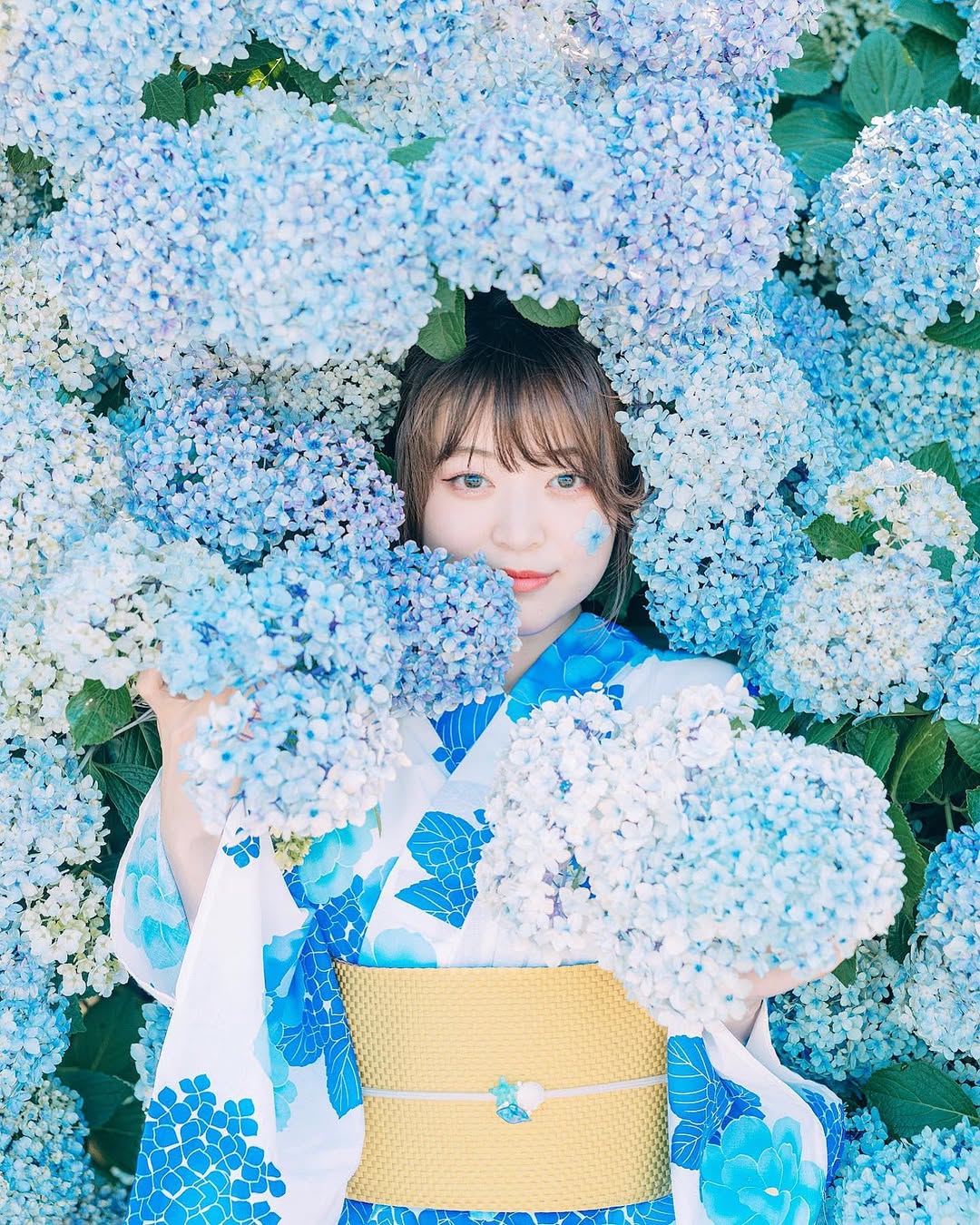 2025年關東繡球花夢幻之旅:十大賞花秘境公開!📸 KaChick 陪你捕捉最美花季!