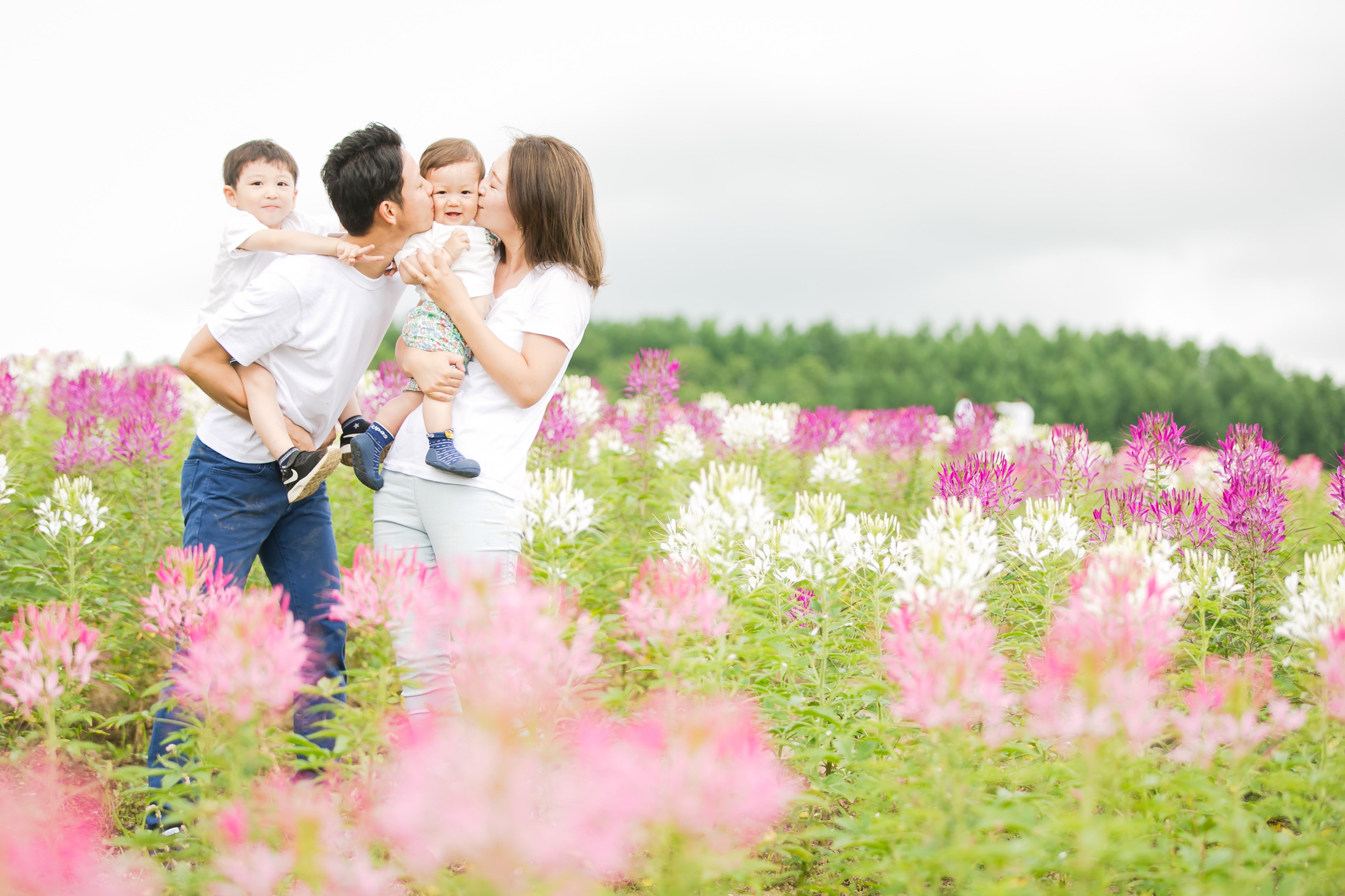 用Tota的鏡頭捕捉富良野的色彩:一場花海中的家庭攝影體驗