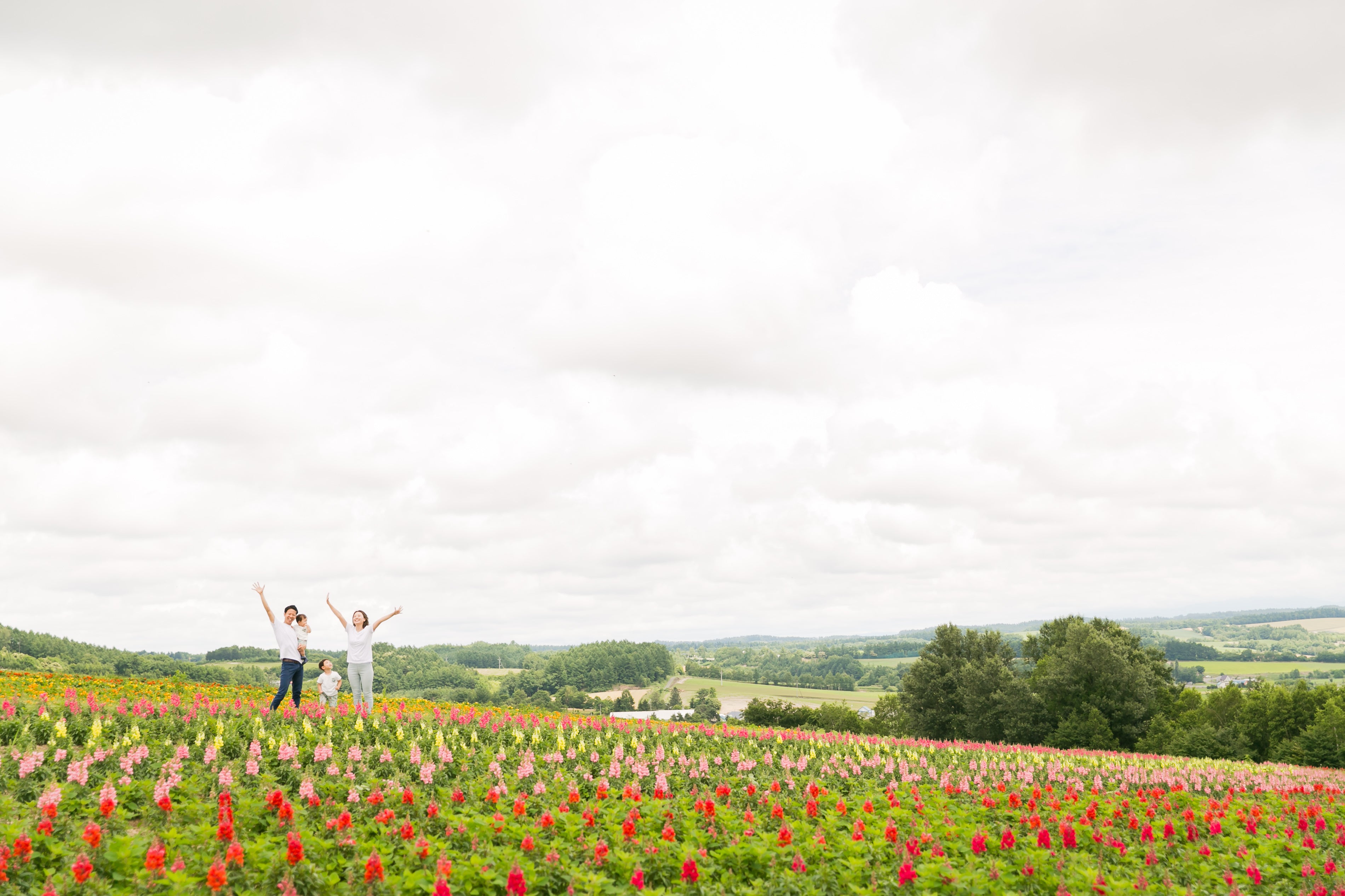 用Tota的鏡頭捕捉富良野的色彩:一場花海中的家庭攝影體驗