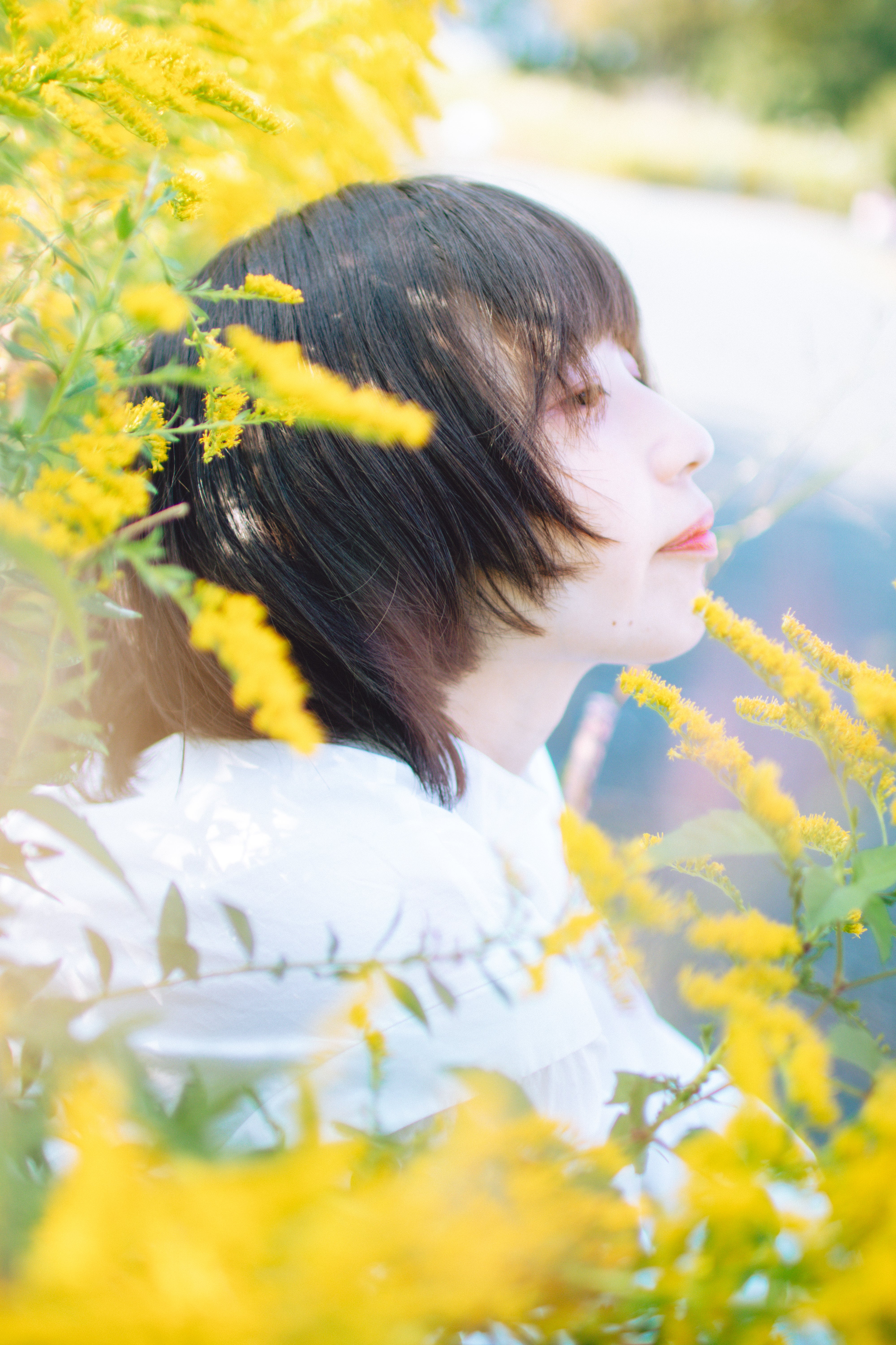 日本冬季攝影 | 福岡的專業攝影師