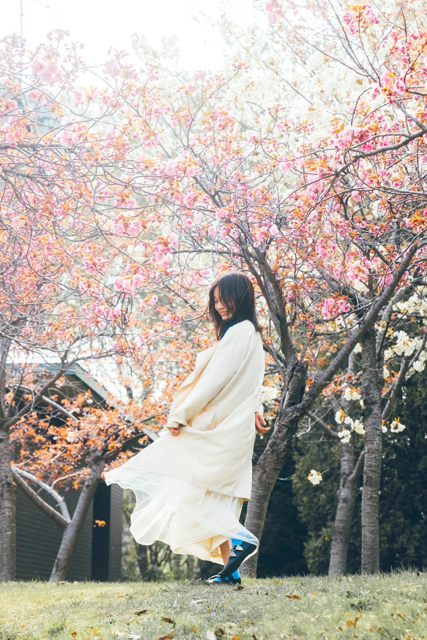 札幌中島公園攝影 | 日本櫻花花攝影