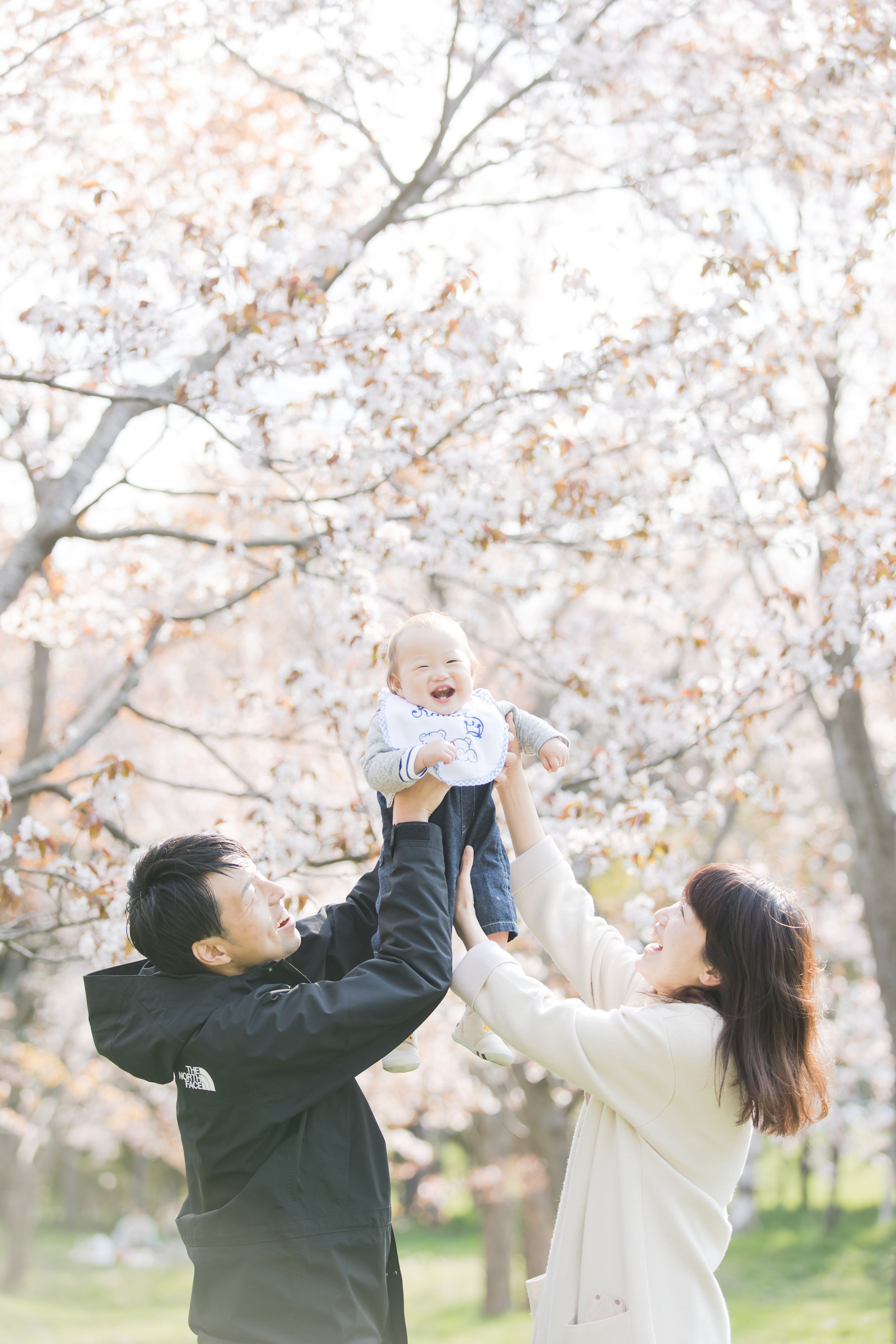 北海道札幌藻岩山公園的春日花卉仙境