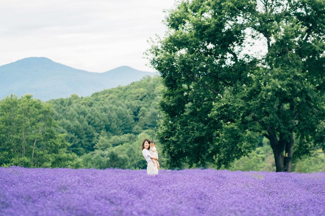 薰衣草傳奇:北海道富良野與Coco兩小時的家庭魔法時光