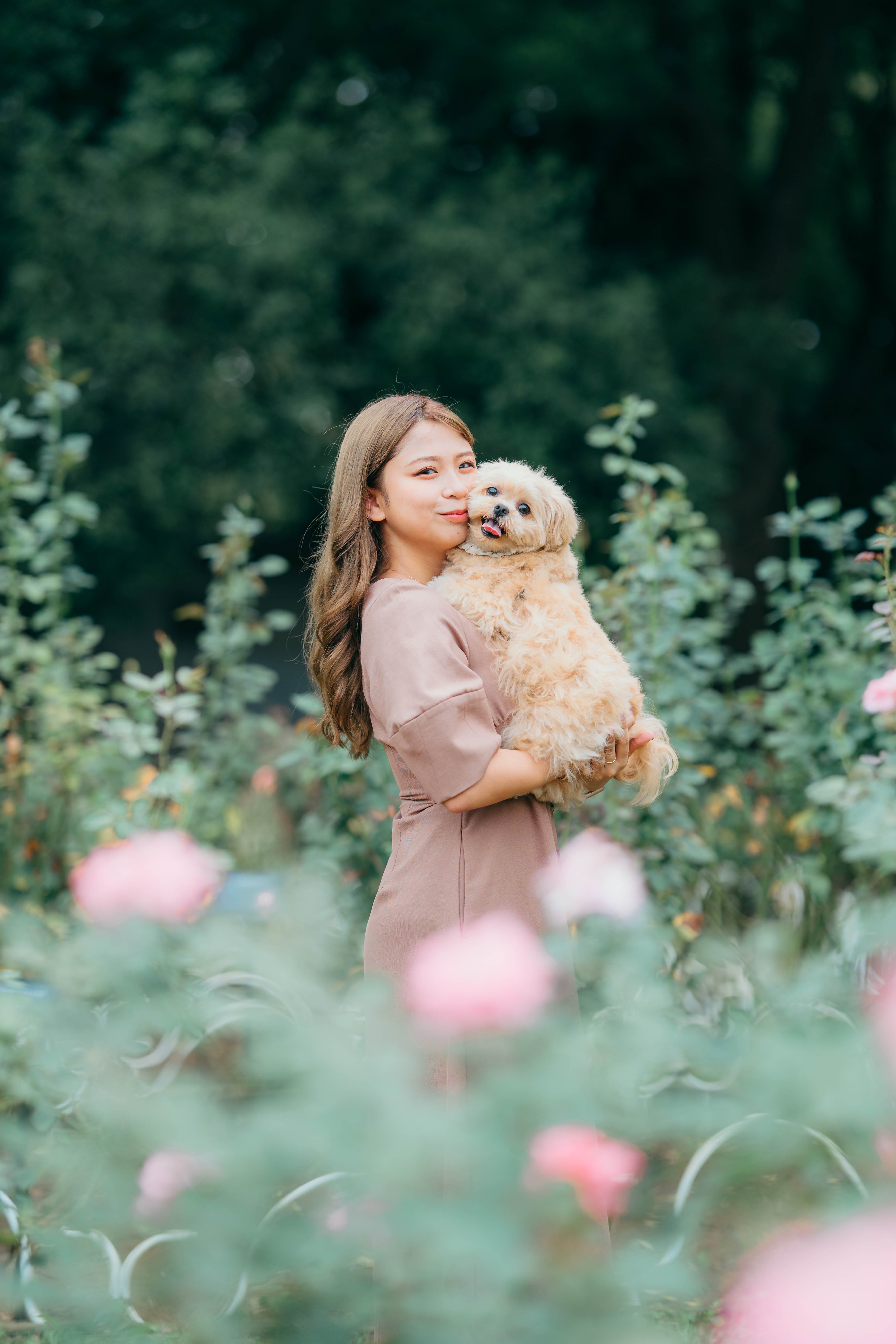 河口湖回憶:Yuri 寵物攝影時光