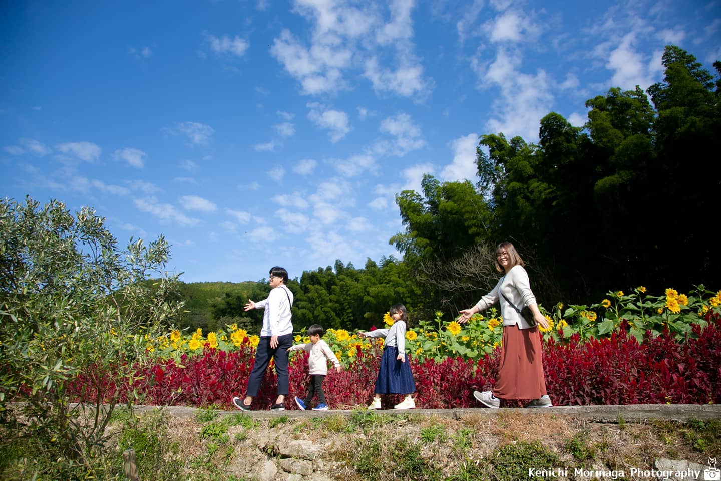福岡花季攝影 | 日本家庭攝影