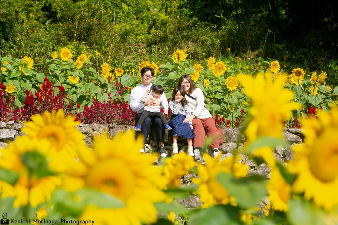 福岡花季攝影 | 日本家庭攝影