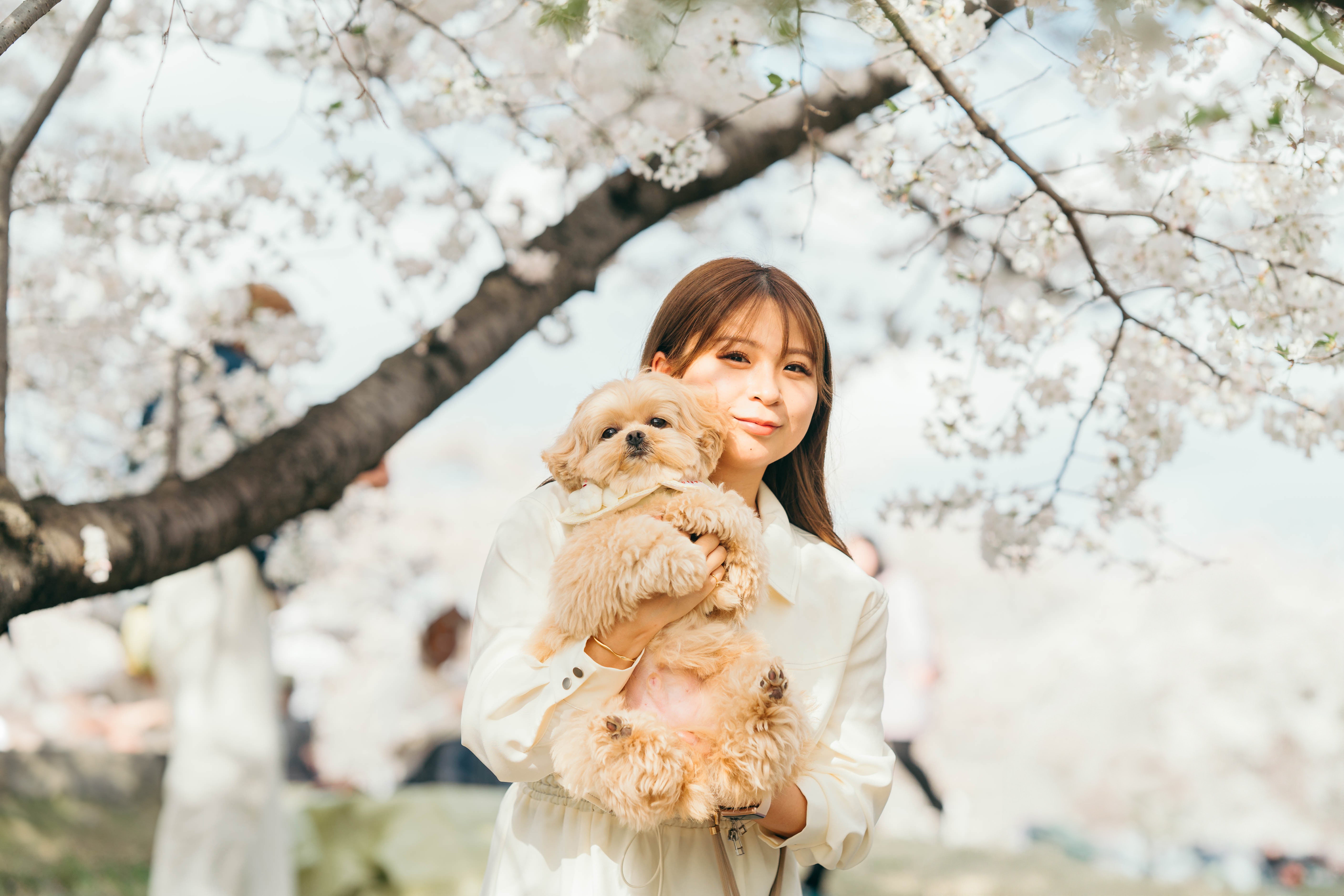 東京櫻花海:Yuri 記錄你和寵物春日浪漫
