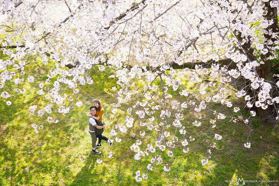 絢爛櫻花下的愛戀 — Ken的專屬訂婚攝影之旅