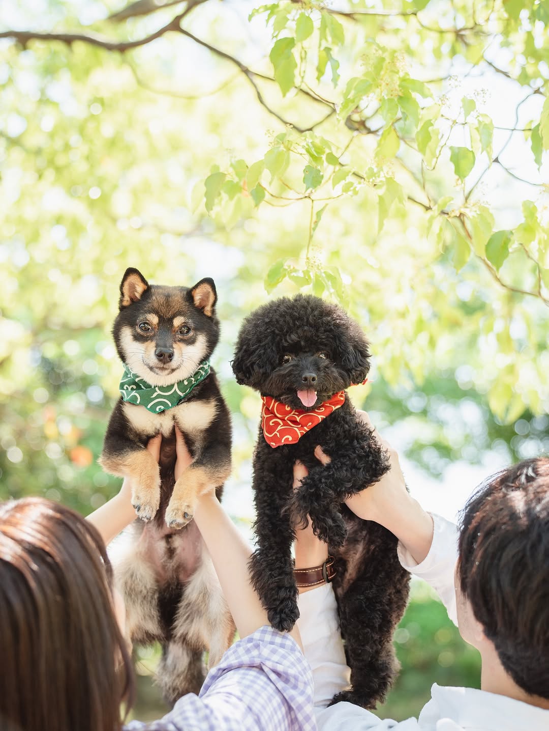 屬於我們的小小世界:Chika 千葉家庭與寵物攝影