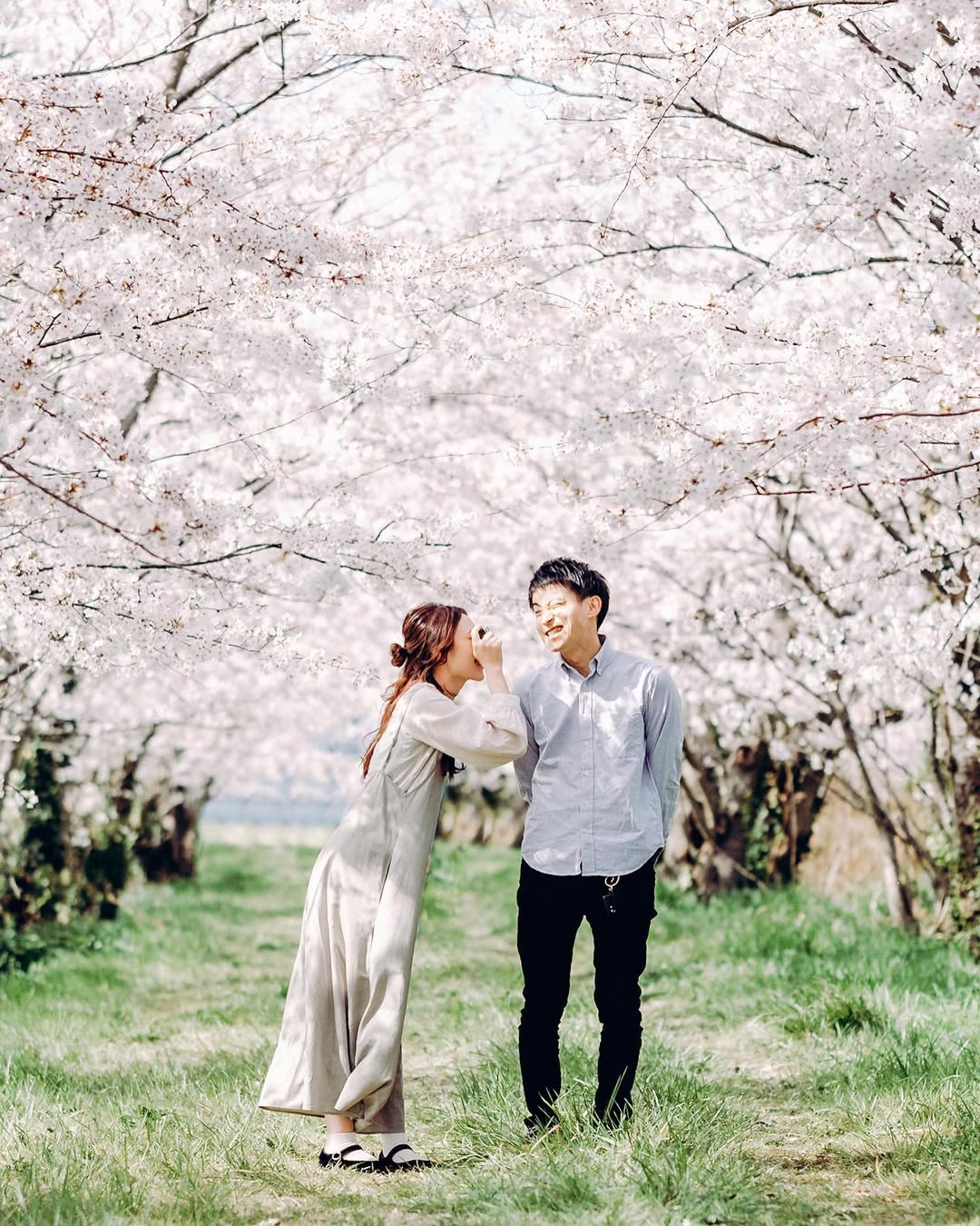 和Mai一起,在金澤留下最美情侶櫻花回憶!