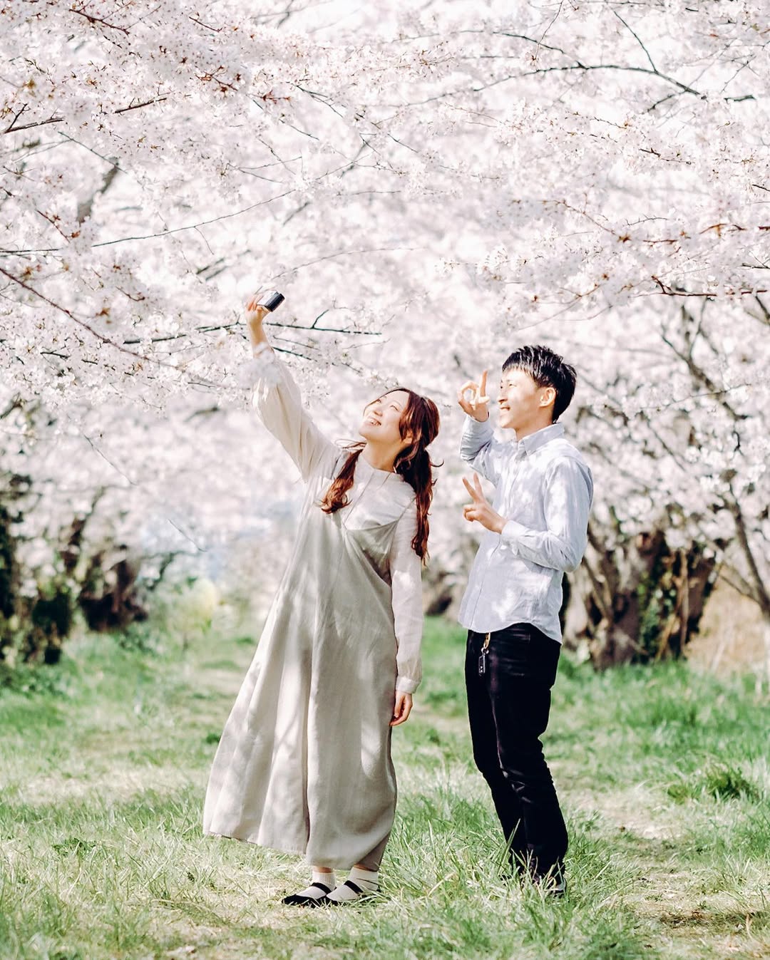 和Mai一起,在金澤留下最美情侶櫻花回憶!