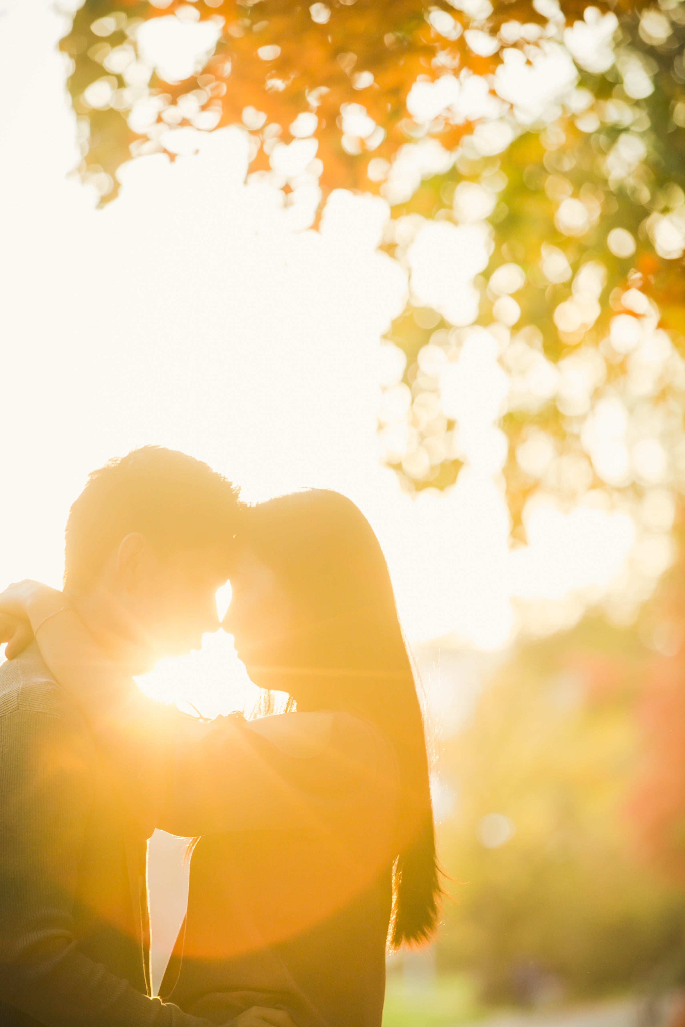 北海道秋季奇景:與攝影師Tota一起的家庭攝影之旅