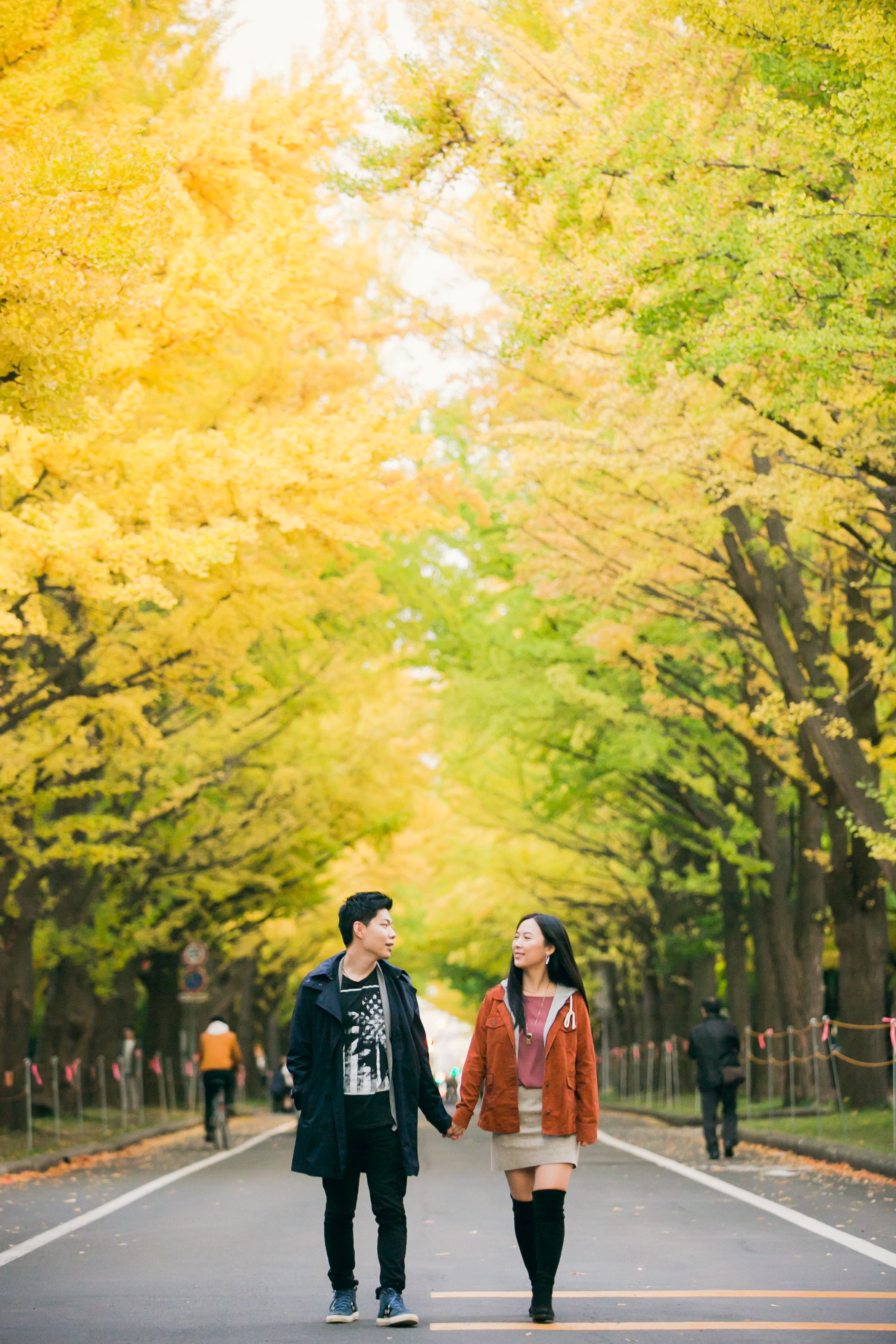 北海道秋季奇景:與攝影師Tota一起的家庭攝影之旅