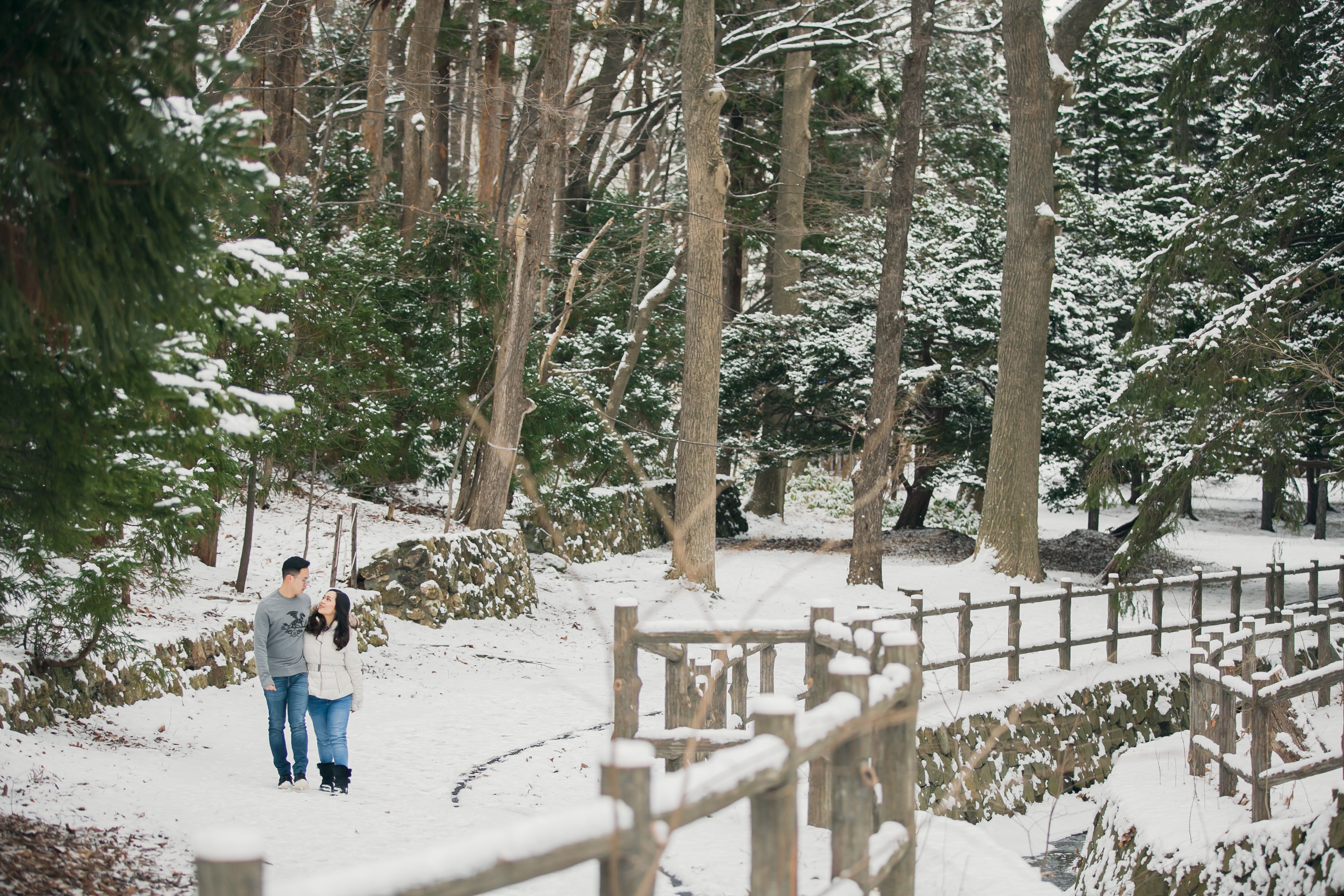 Snowy Vistas faimly Photos