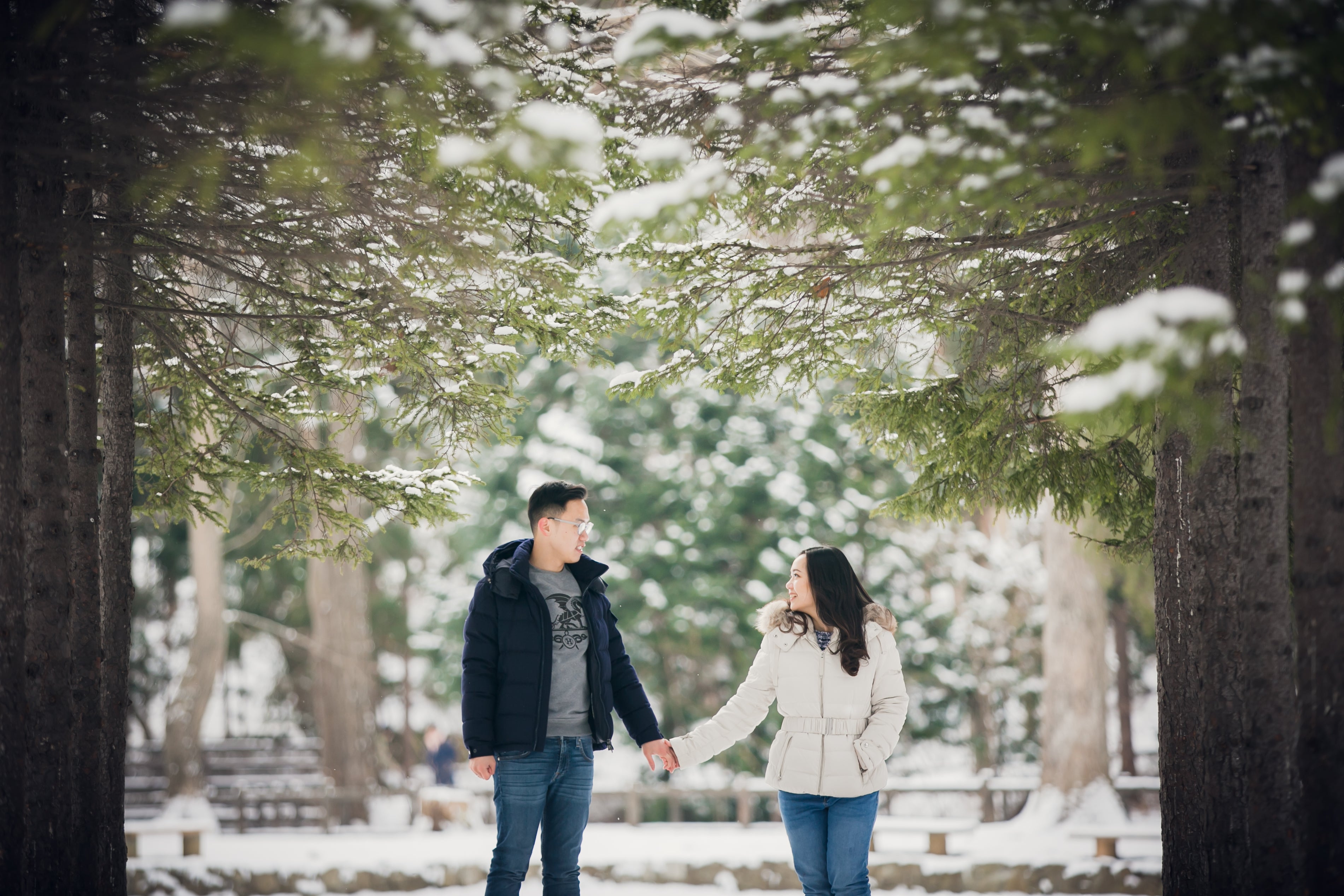 Snowy Vistas faimly Photos