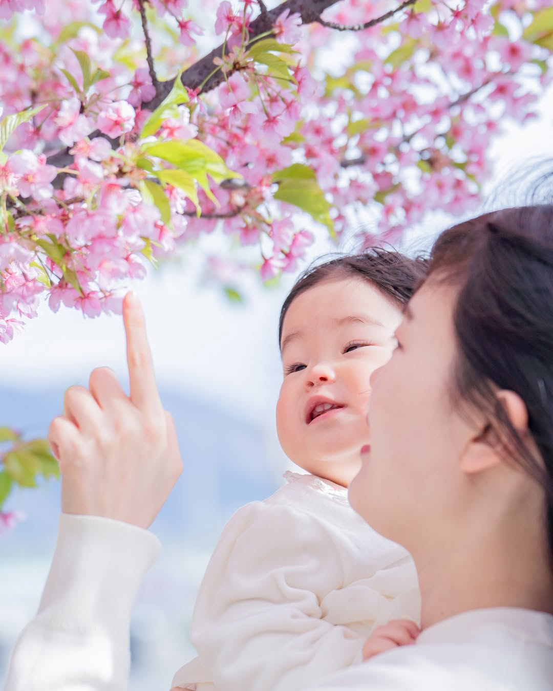 在岡山,收藏最純真的歡樂:Mii 家庭寫真