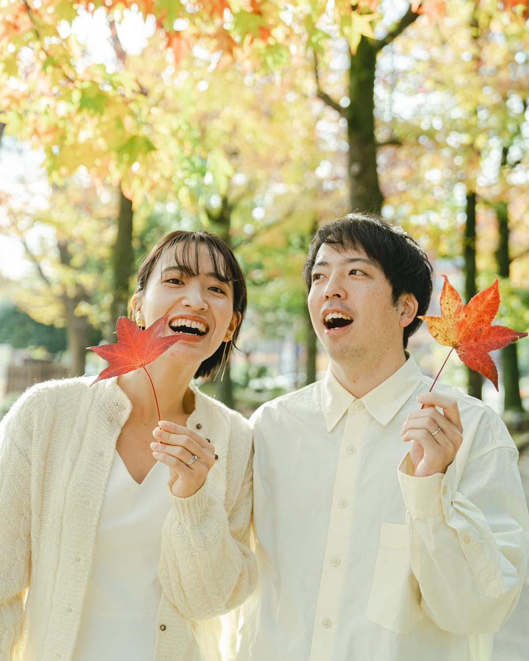 大阪戀愛故事 :讓Arai書寫你們的愛情篇章