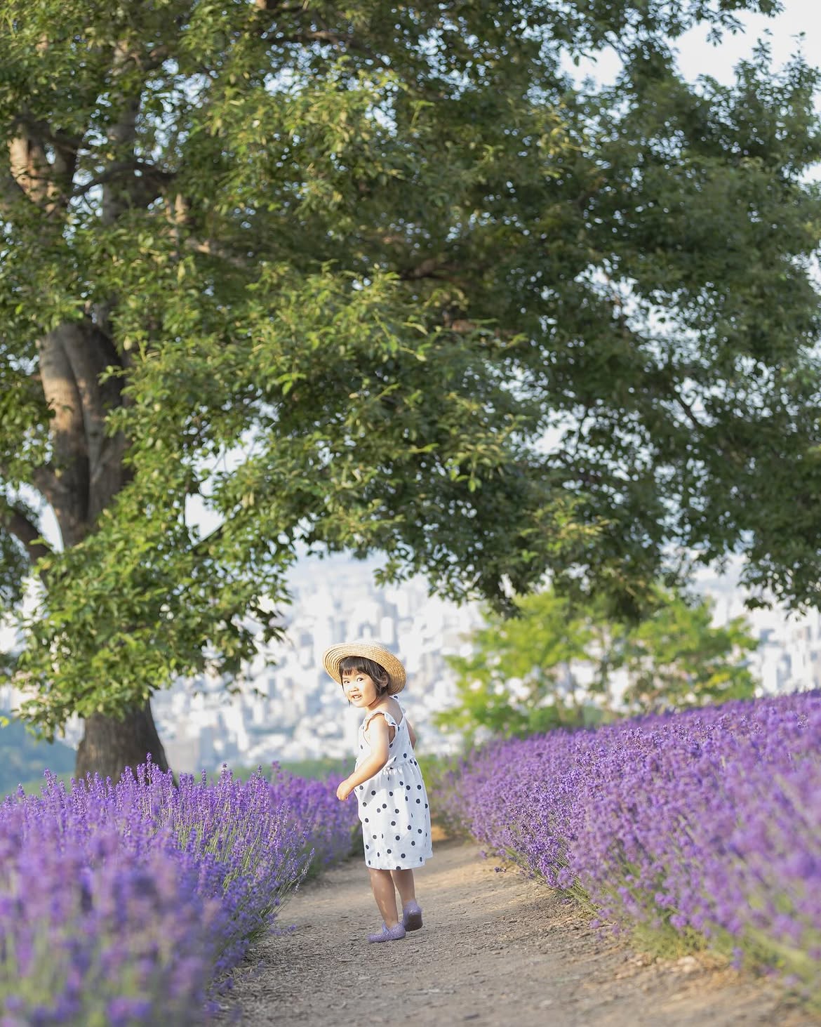 在北海道最美的風景裡,留下屬於家的幸福:Rie 家庭寫真體驗