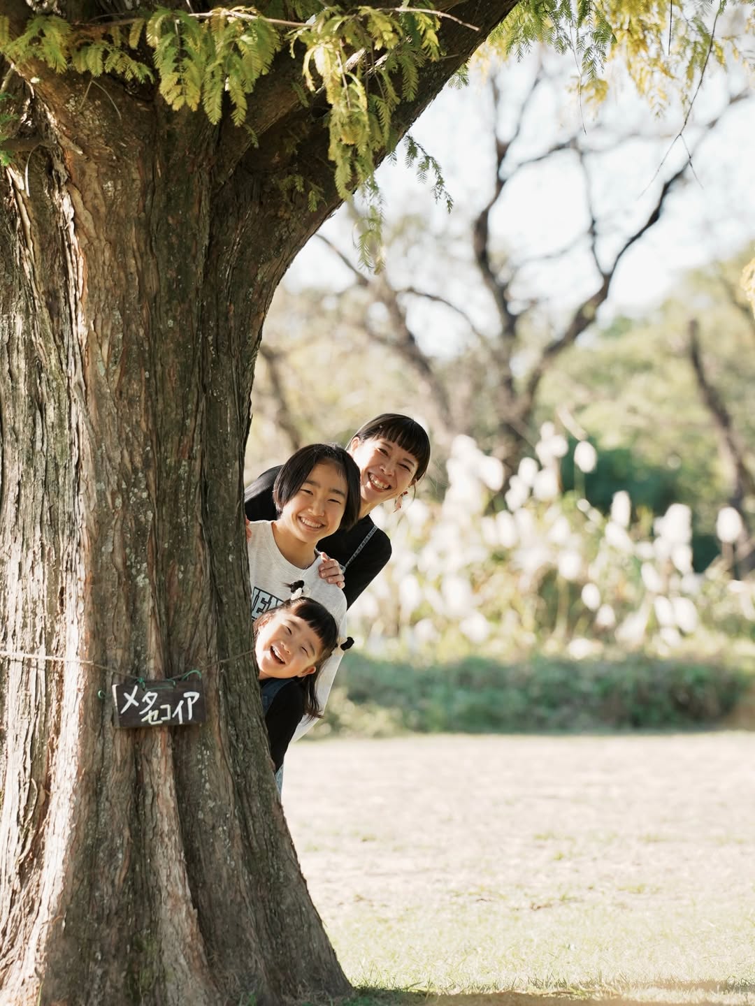 Tomo的熊本家庭攝影日誌