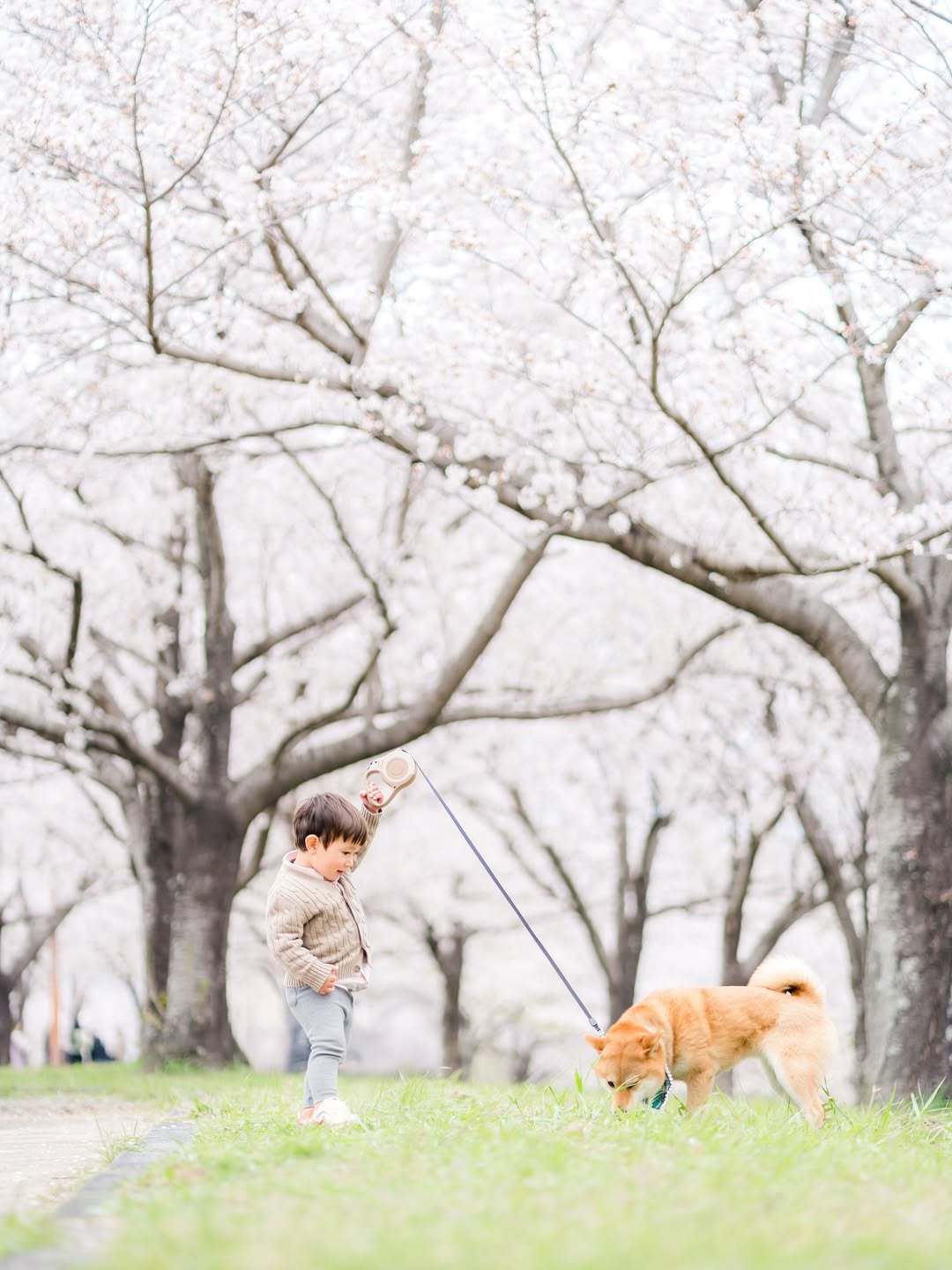 以愛在福岡相會 : Chihi 為你拍下家庭溫馨瞬間