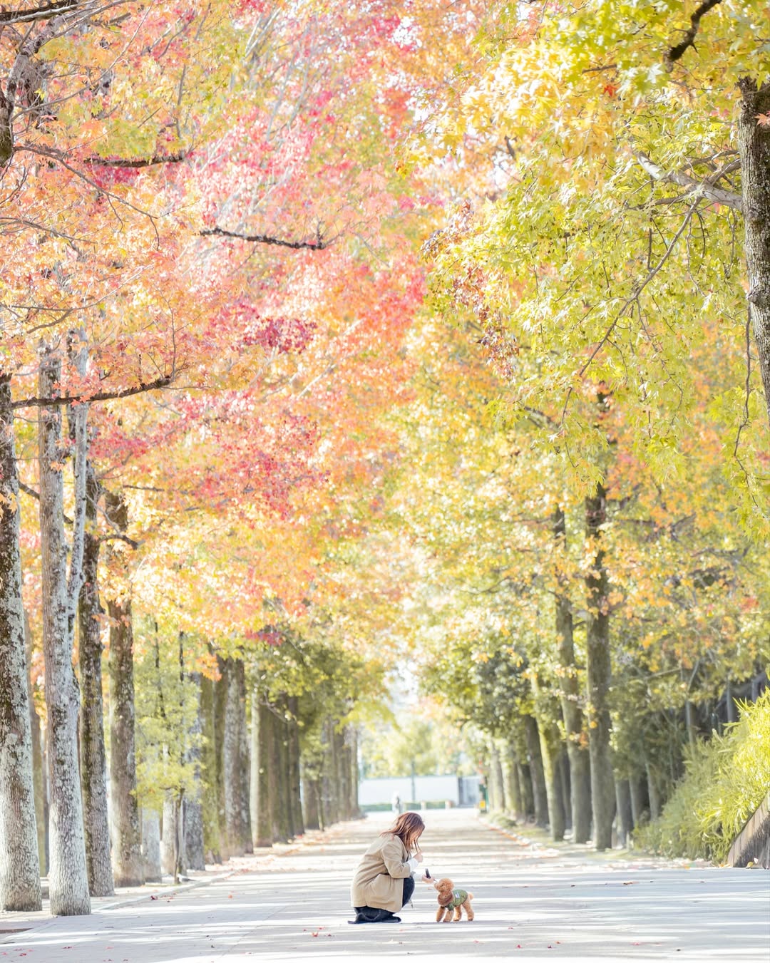 小小腳印與燦爛笑容的相遇:Mii 岡山家庭與寵物攝影