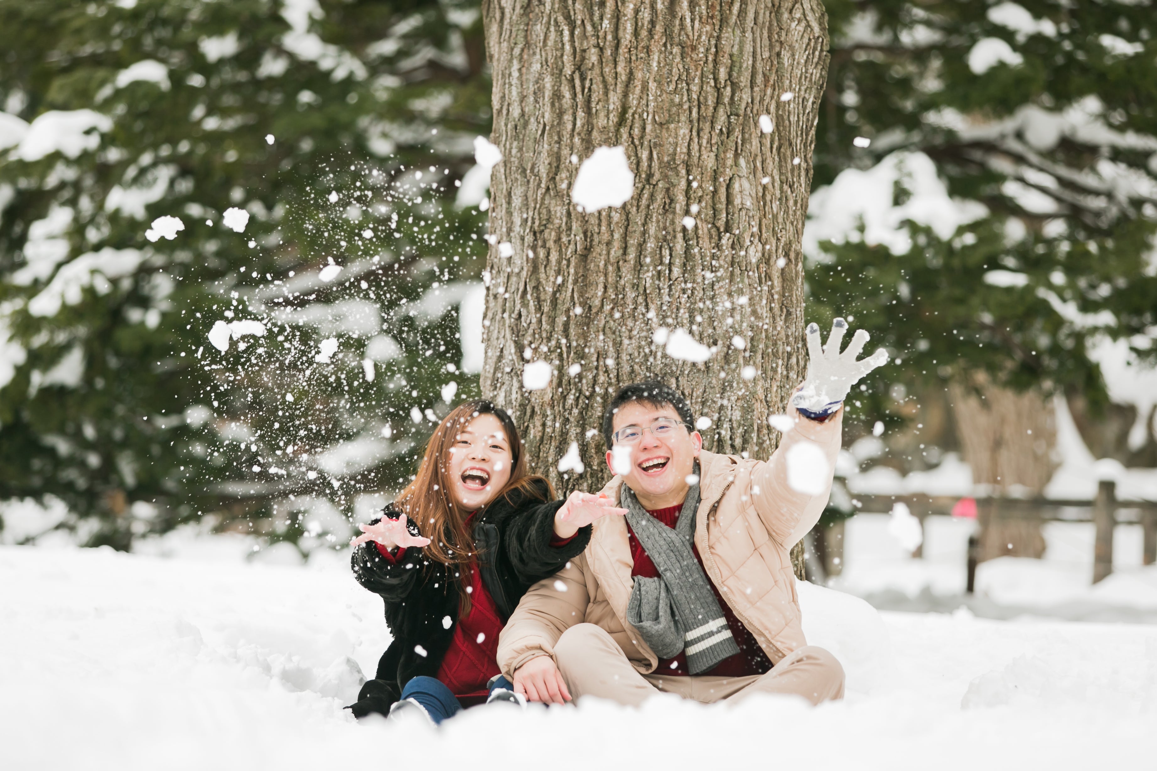 Snowy Vistas faimly Photos