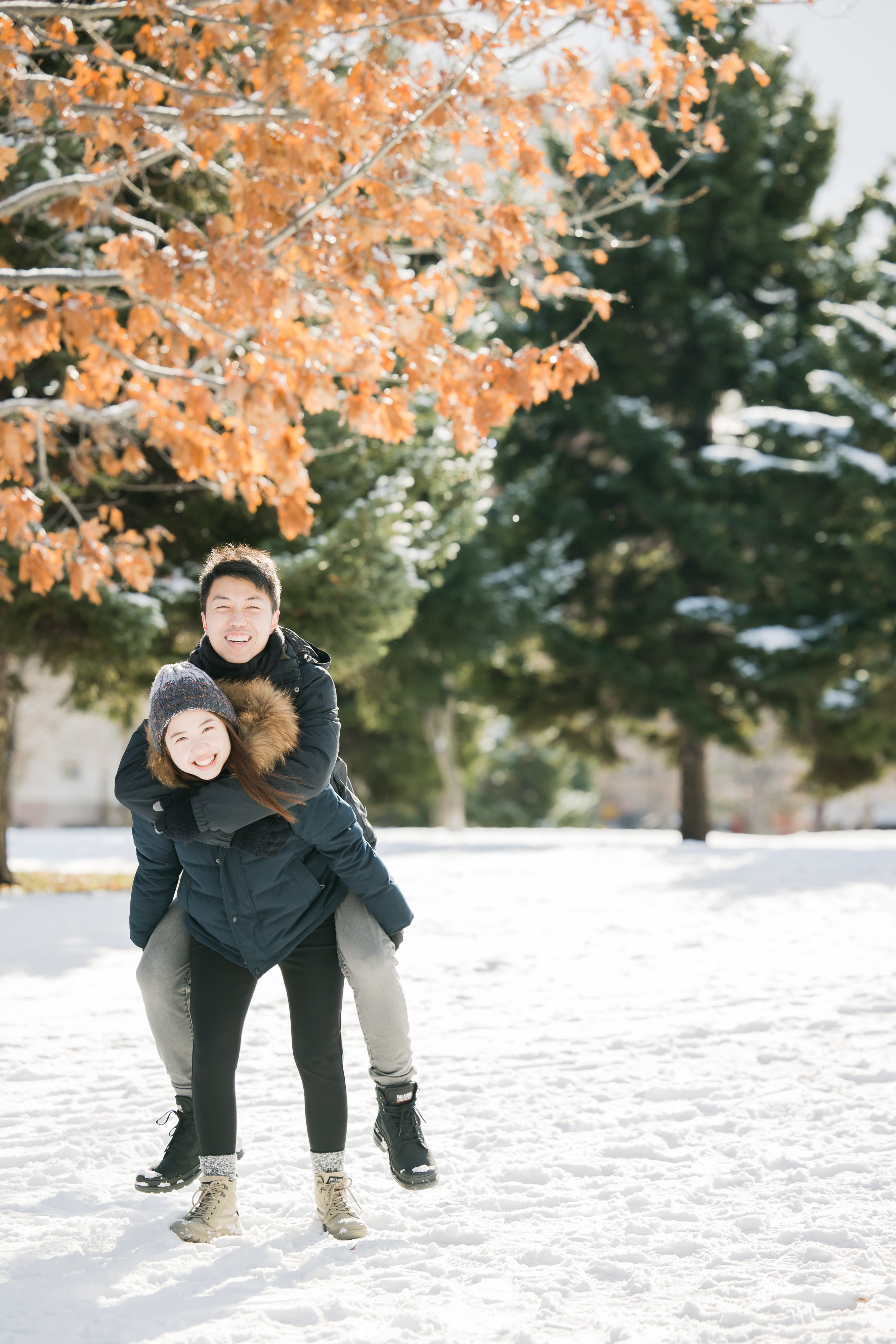 Whispers Winter Love Photos