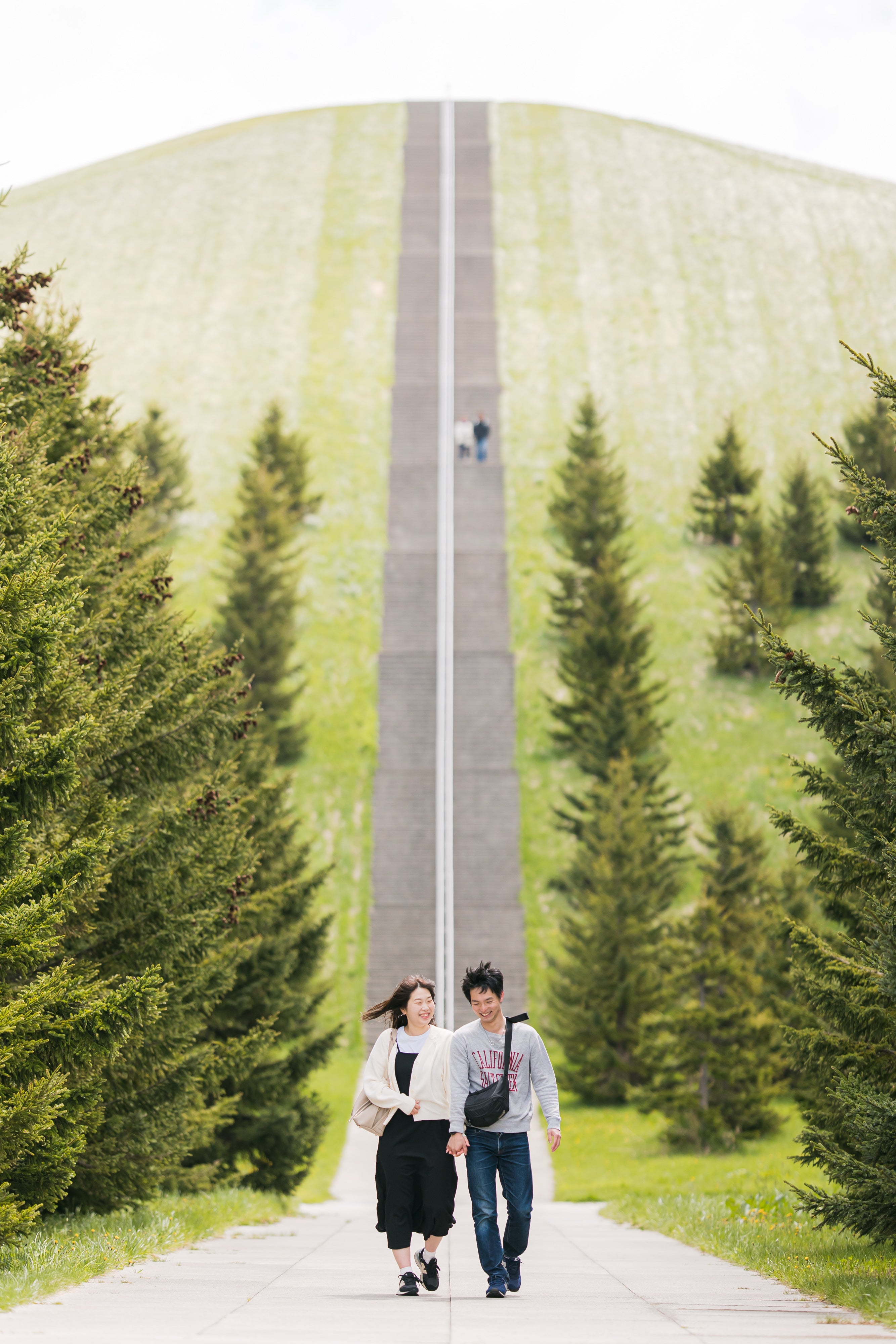 北海道札幌藻岩山公園的春日花卉仙境