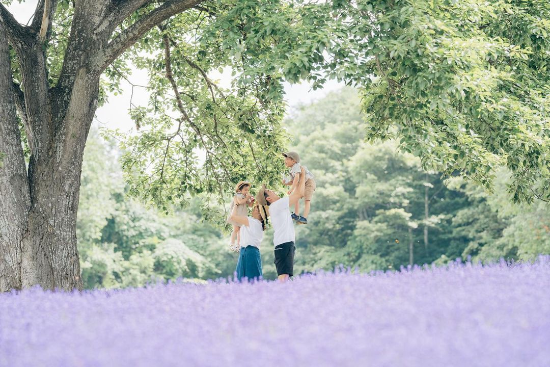 薰衣草傳奇:北海道富良野與Coco兩小時的家庭魔法時光