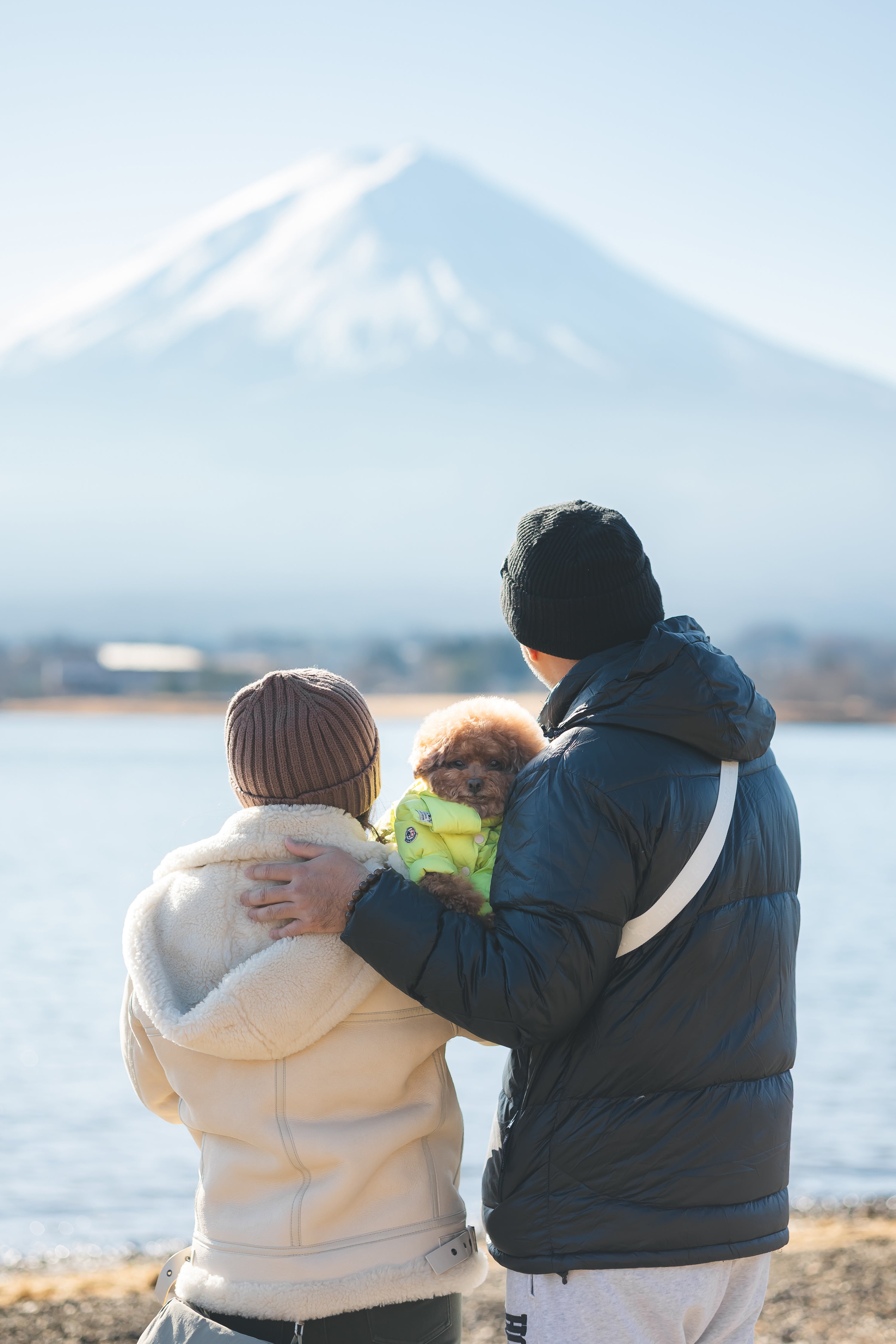 在富士山下的家人與毛孩時光:Do 河口湖家庭寵物攝影