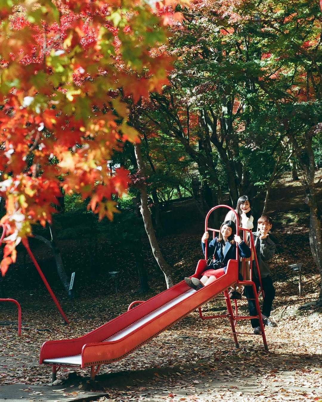 金澤親情之旅:Bear 捕捉你最自然的幸福時刻