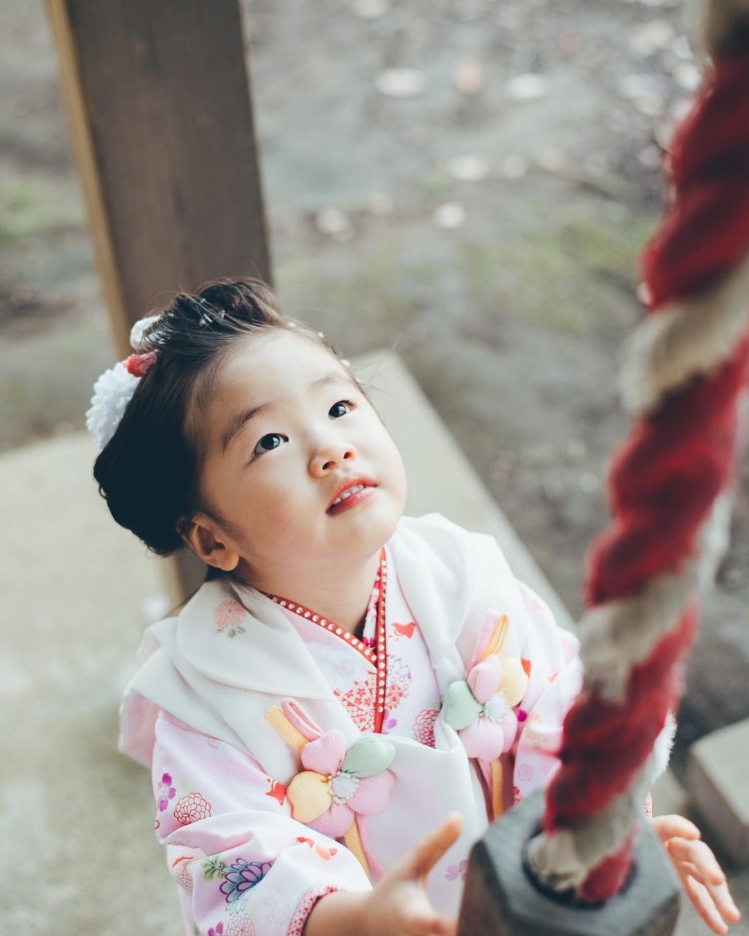 鎌倉和服家庭攝影 | 日本家庭攝影