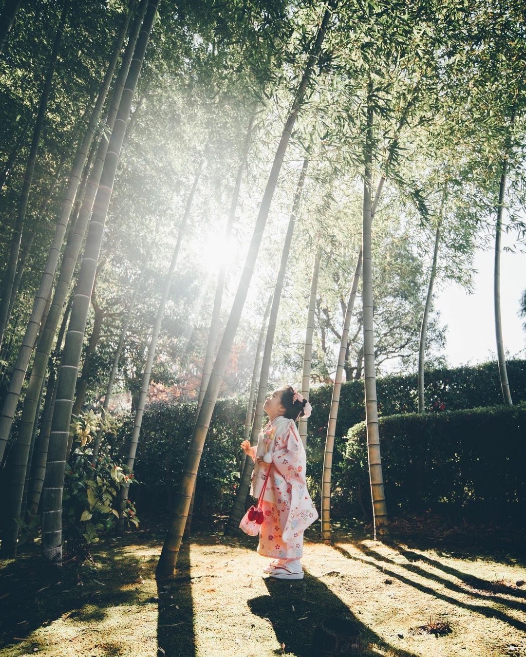 鎌倉和服家庭攝影 | 日本家庭攝影