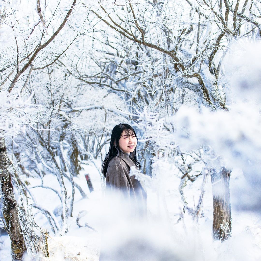 橫濱冬日探秘:Yuriko 帶你發現不一樣的精彩