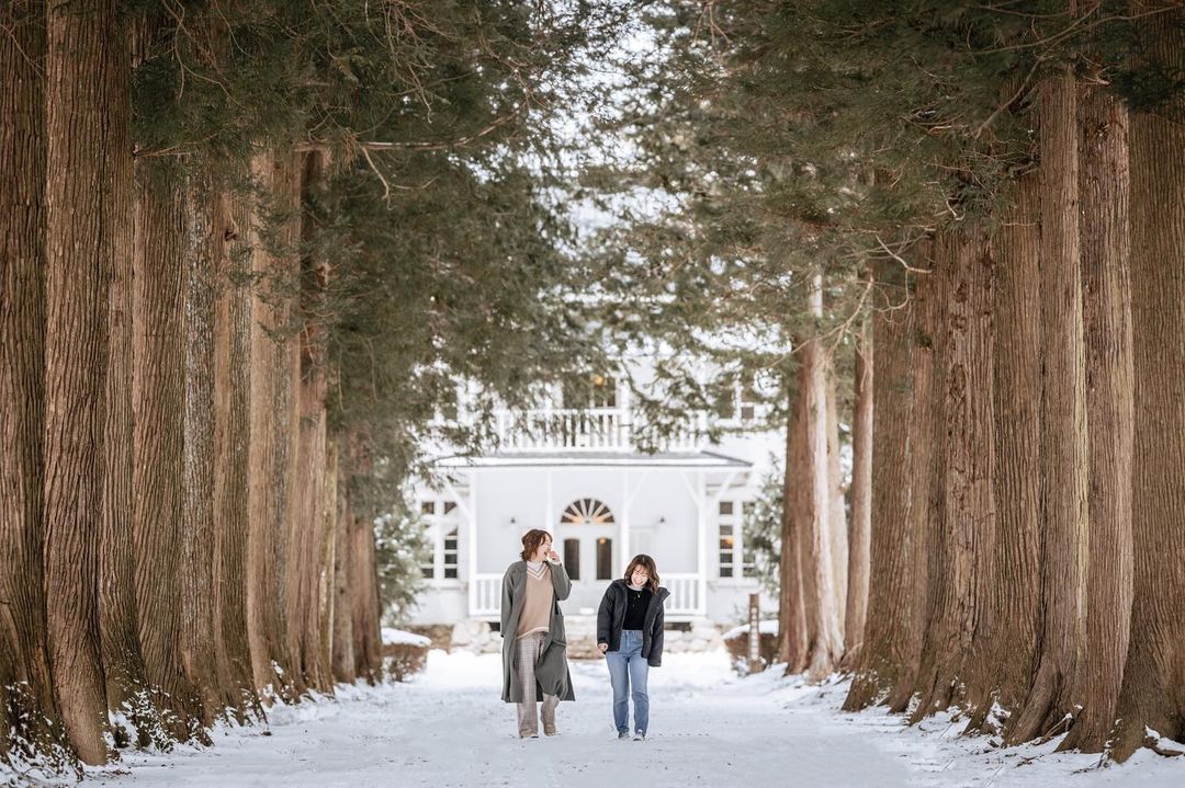 東京雪中奇緣:Nat 珍藏幸福時光