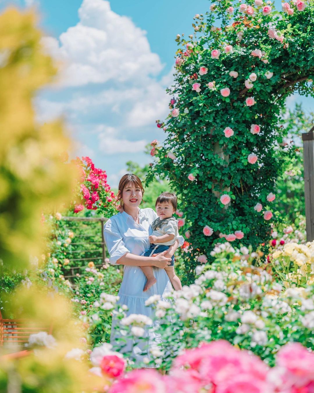 Masato 鏡頭下的富山:家庭溫情大冒險