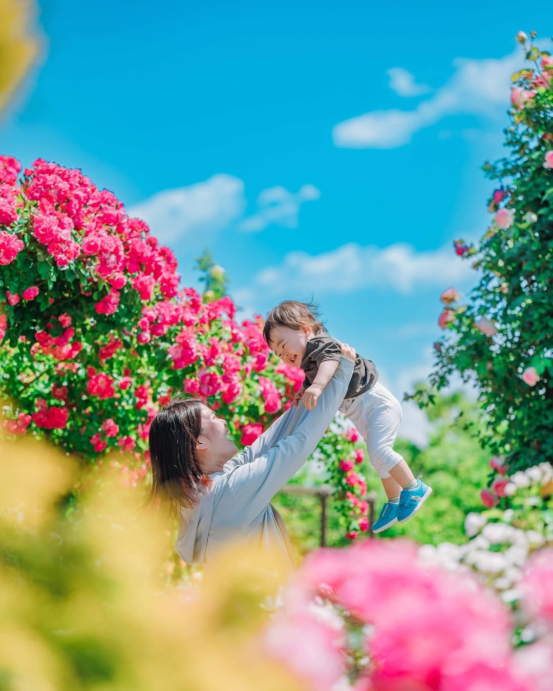 Masato 鏡頭下的富山:家庭溫情大冒險