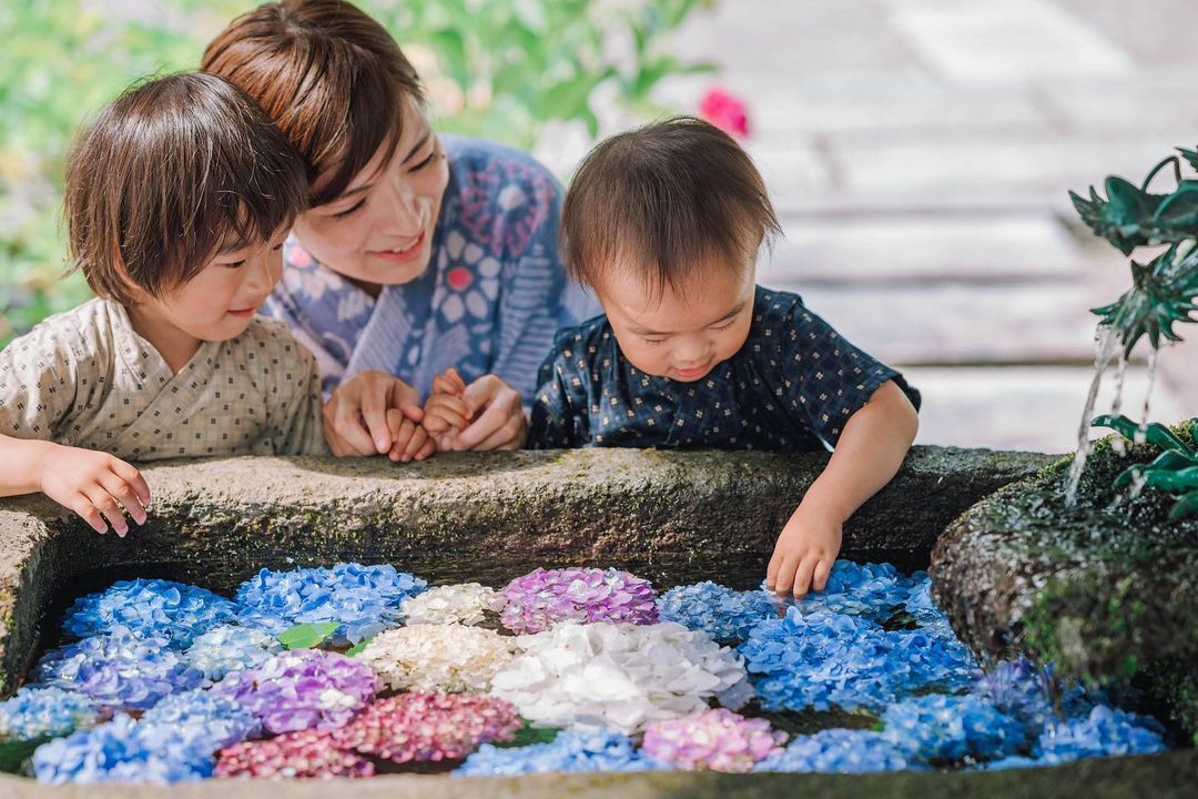 Masato 鏡頭下的富山:家庭溫情大冒險