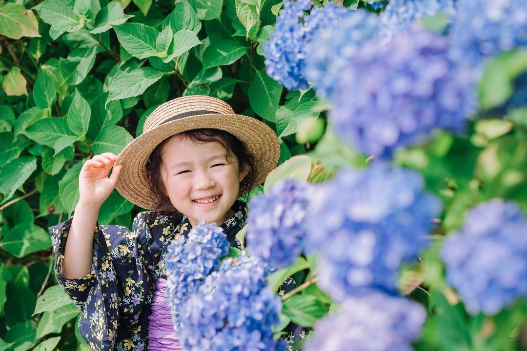 Masato 鏡頭下的富山:家庭溫情大冒險