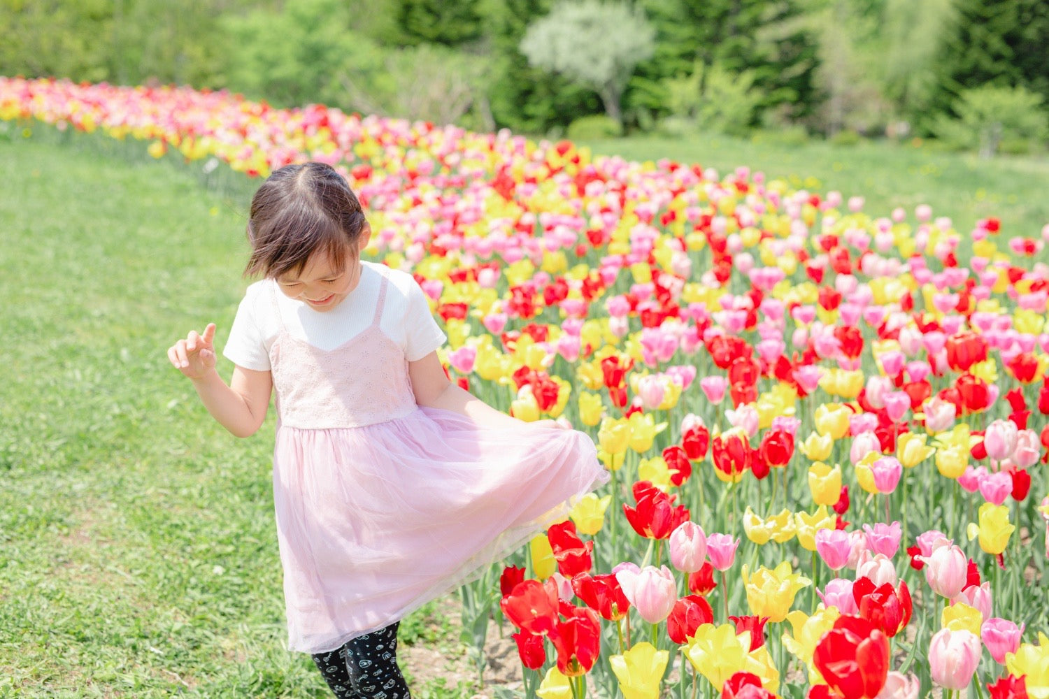 北海道全家福:與 Luna 一起,捕捉愛的永恆瞬間