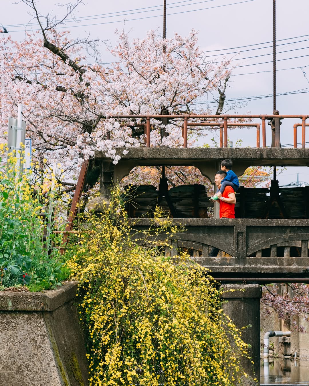 把台灣的日常變成回憶:Frank 為你記錄每一刻