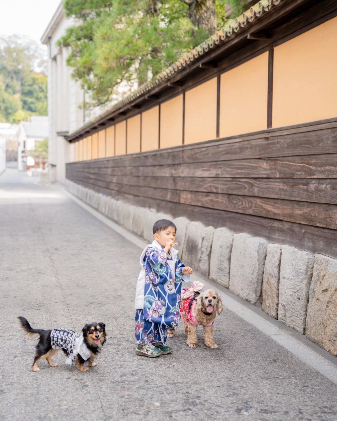 小小腳印與燦爛笑容的相遇:Mii 岡山家庭與寵物攝影