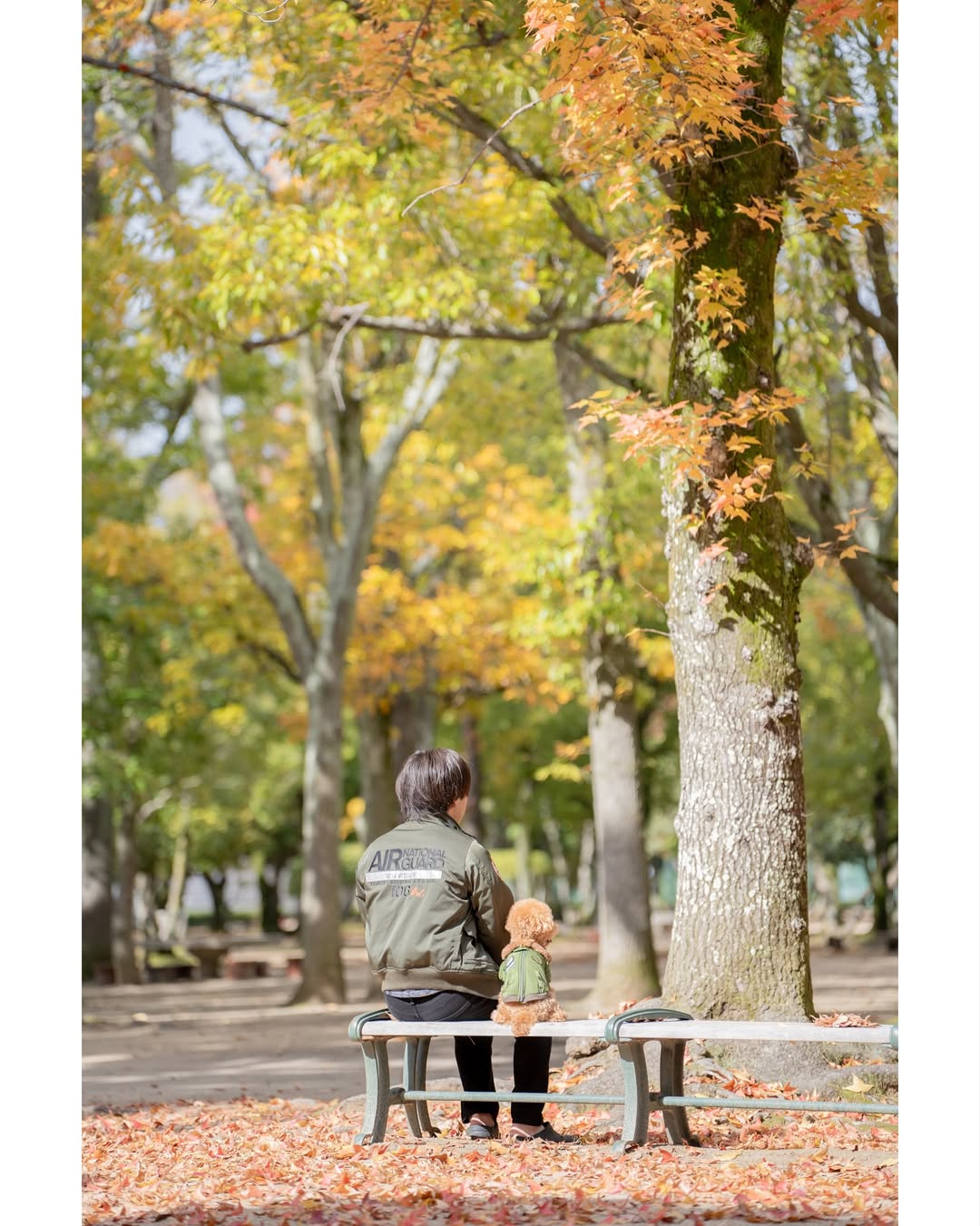 小小腳印與燦爛笑容的相遇:Mii 岡山家庭與寵物攝影