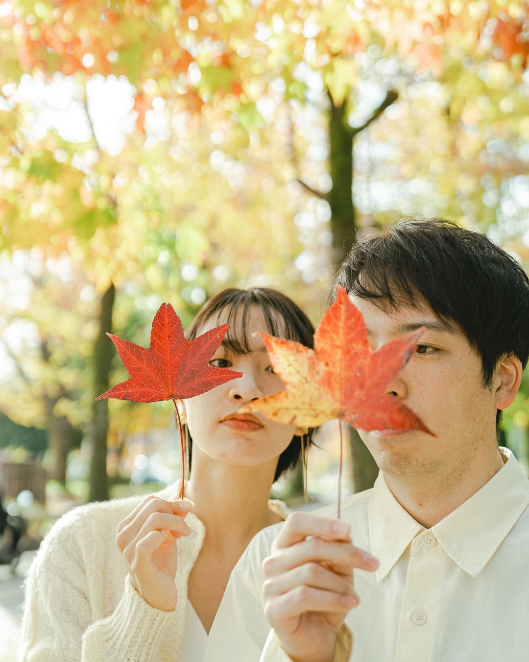 大阪戀愛故事 :讓Arai書寫你們的愛情篇章